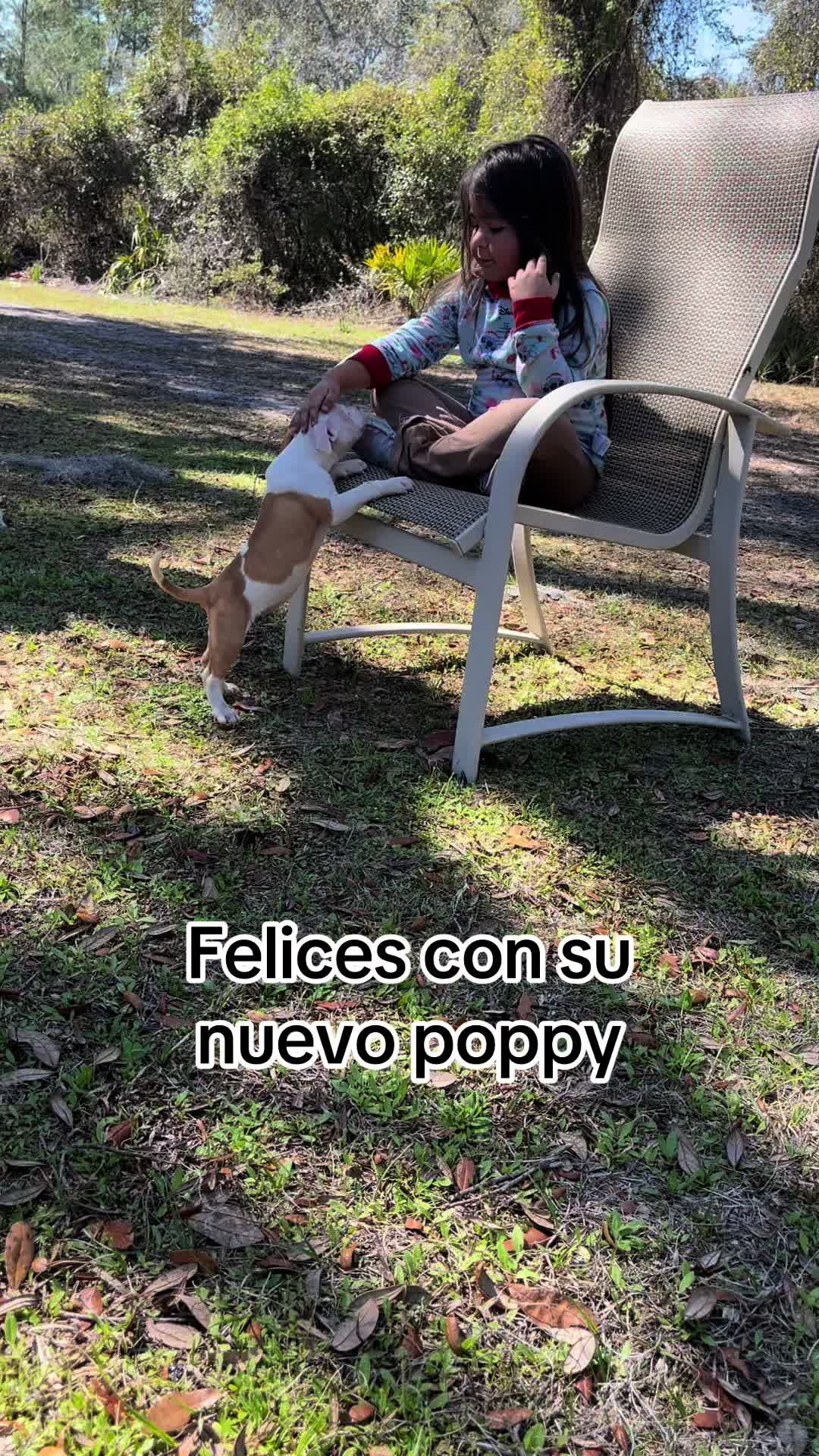 @tal-ivan