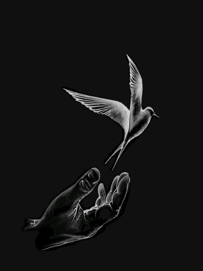 @đĻđŧđēđŊđŧđą / ā¤¸ā¤ŽāĨā¤Ēā¤Ļ đĒ
