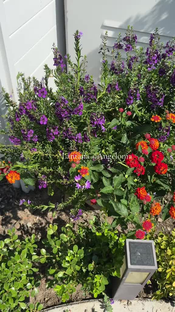 @heartandgarden