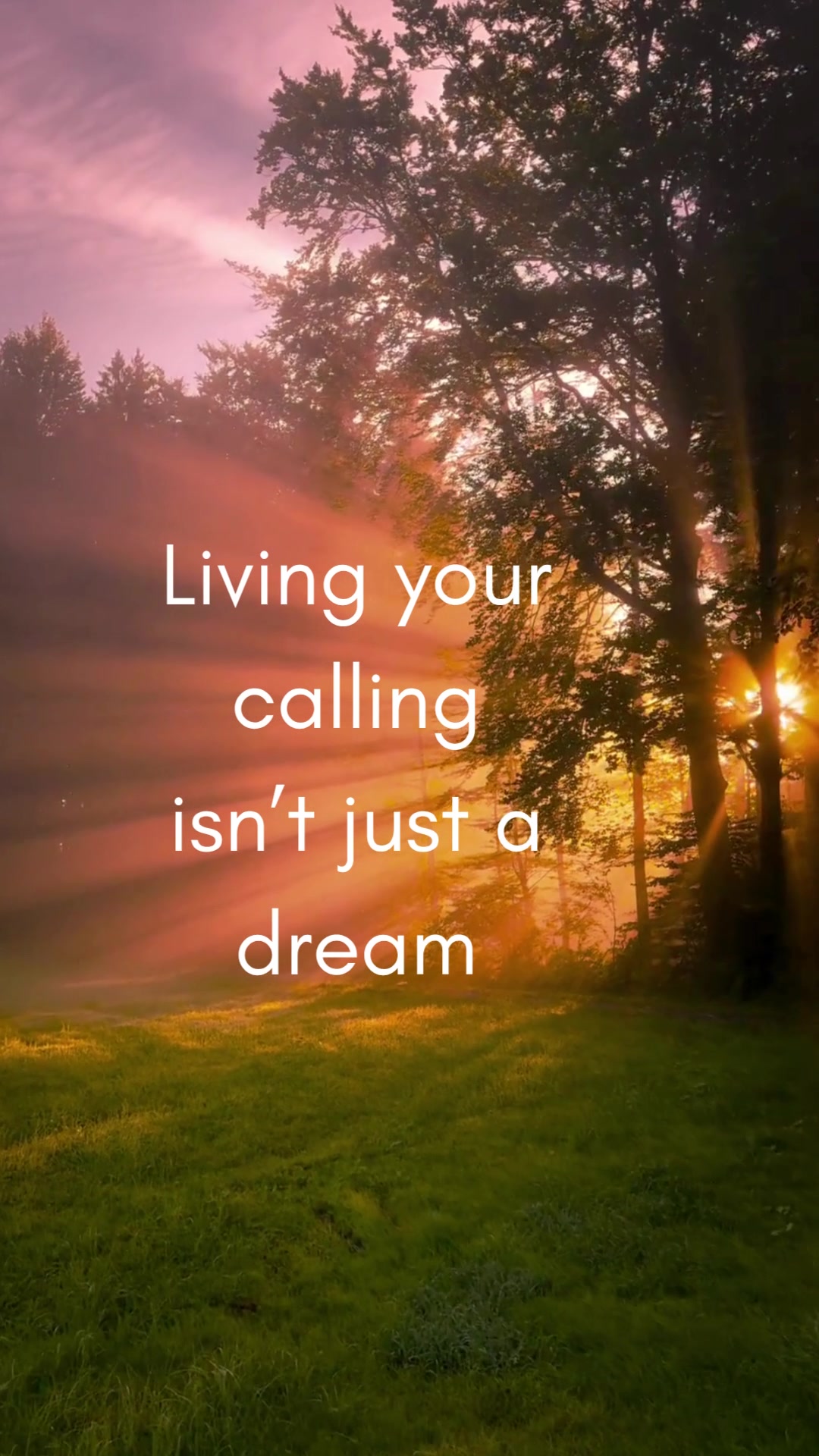 @TamaKieves 🌟 dream big