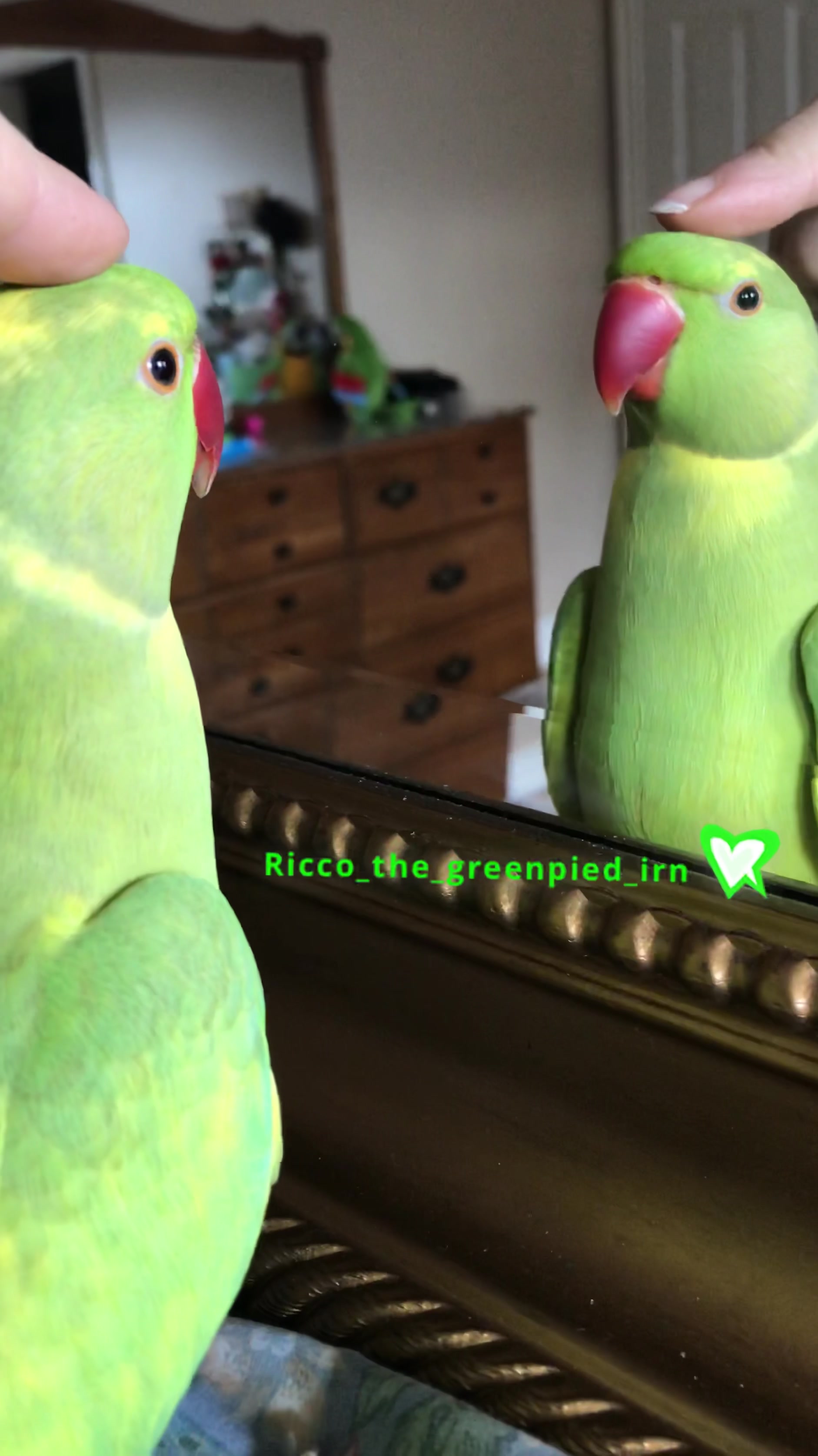 @Ricco