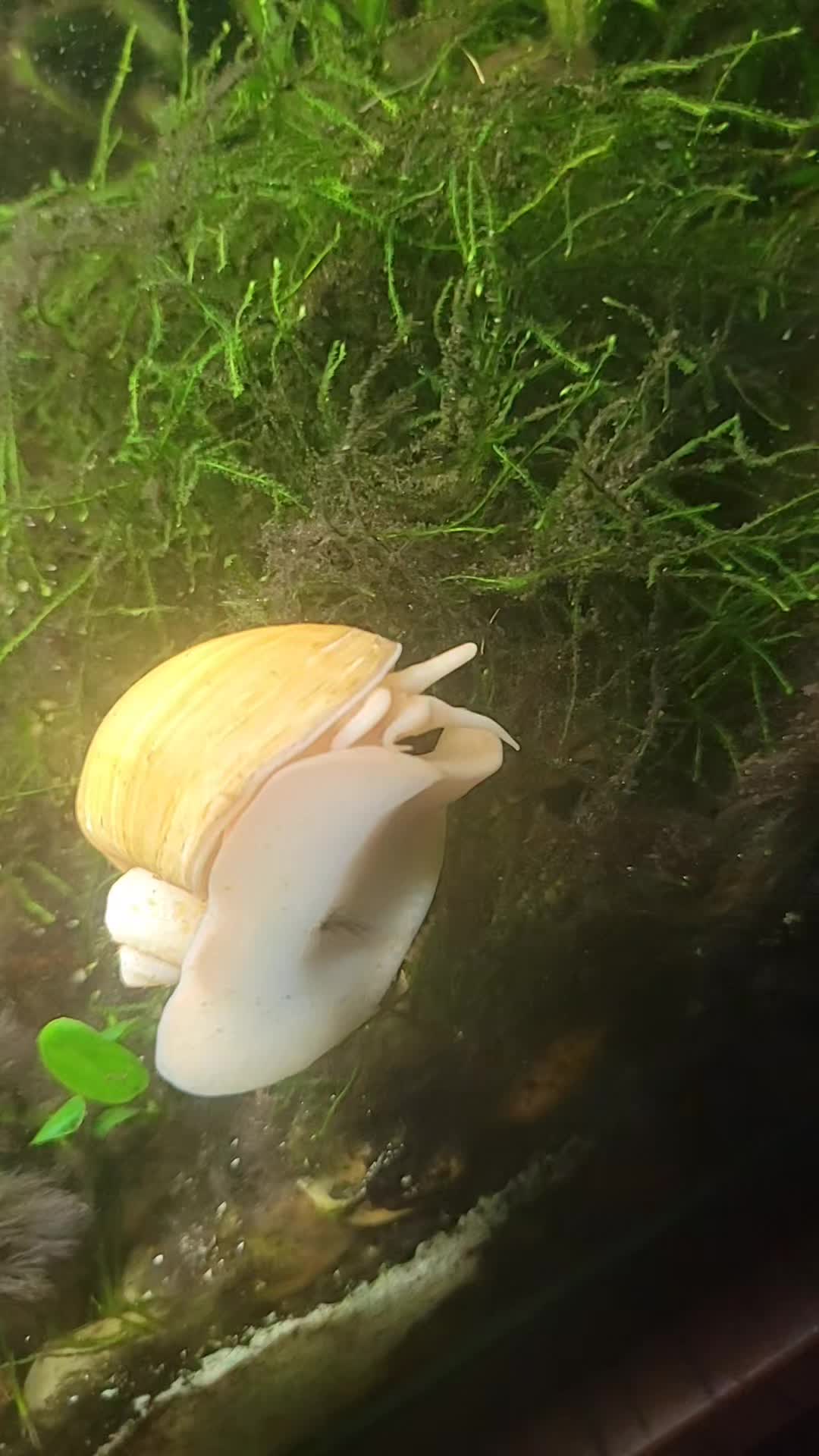 @🐌 AquaGirl ~ Here Fishy Fishy