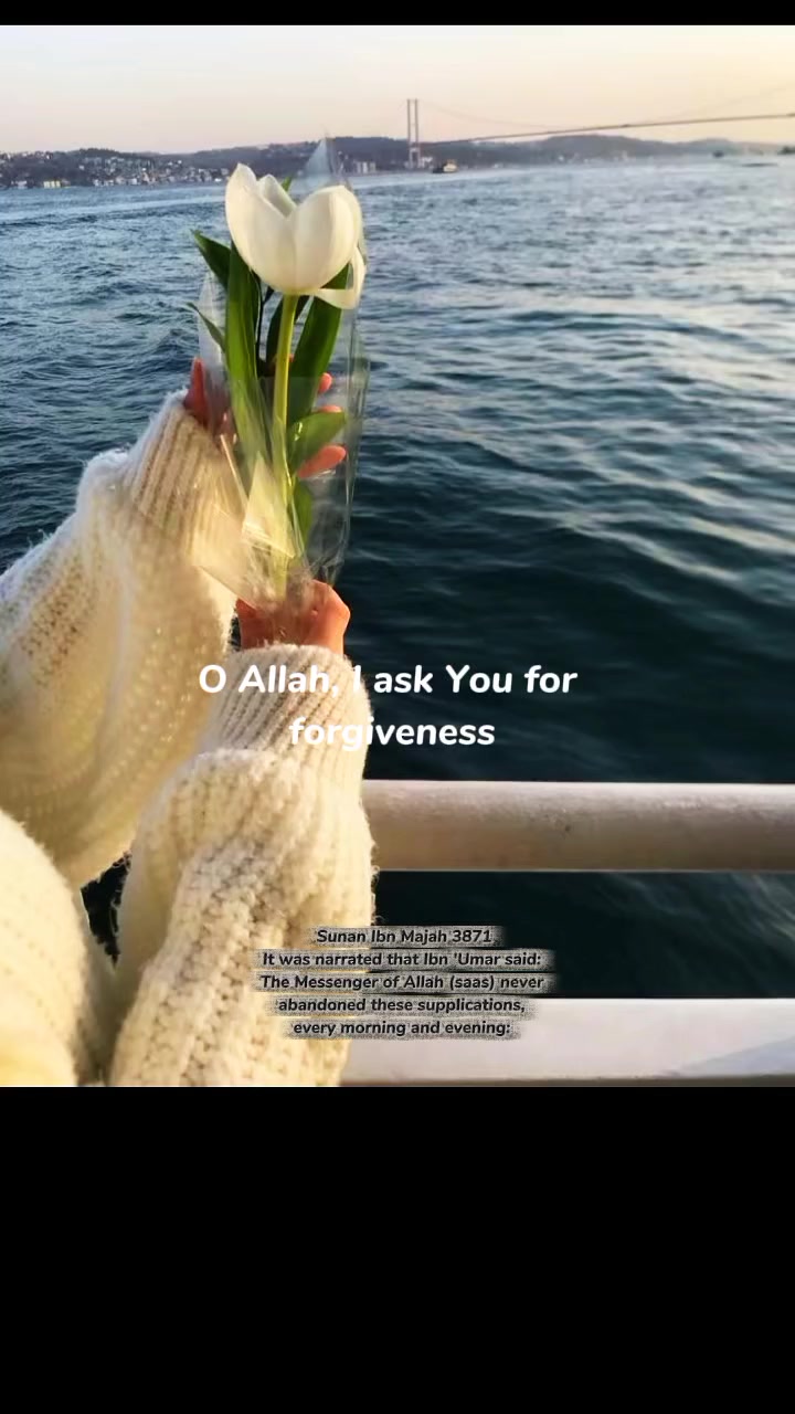 @🦋أثر الفراشة🦋masa