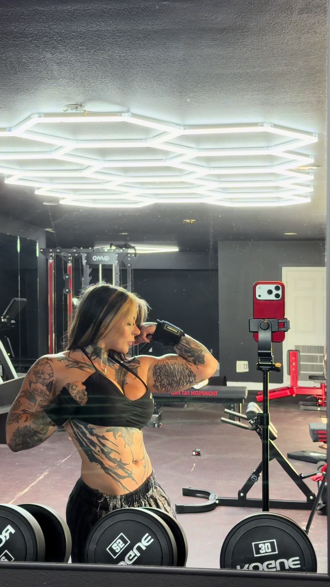 @Sapphirerayn