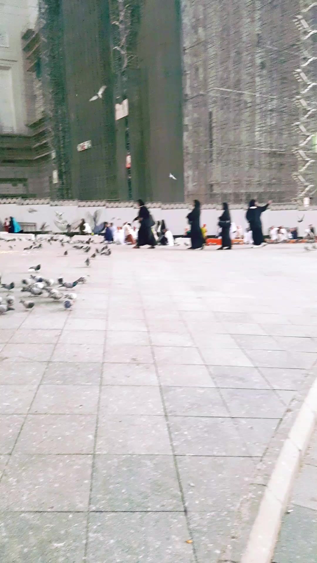 @اسيرةالغرام