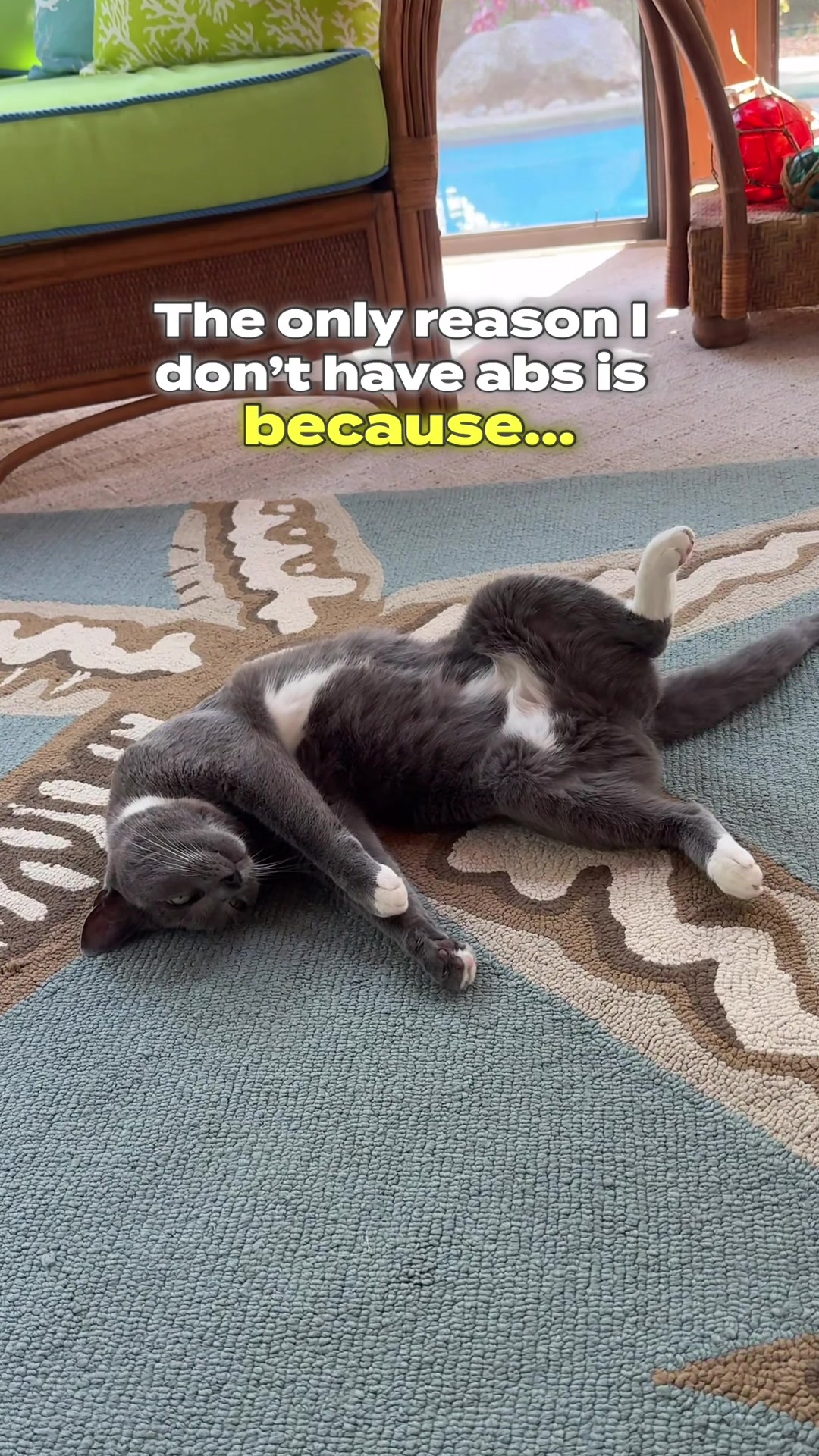 @purrfectinfluencer
