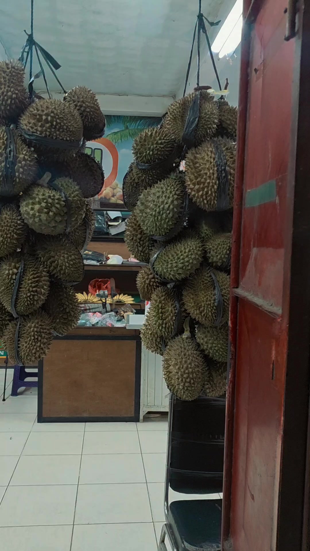 @Kenzhi Durian Tuban