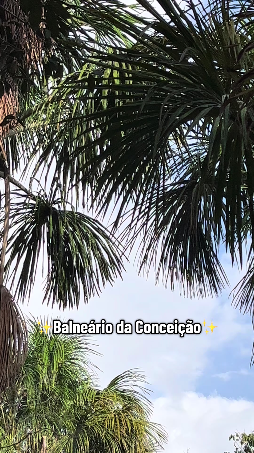 @Amazonas_Historia
