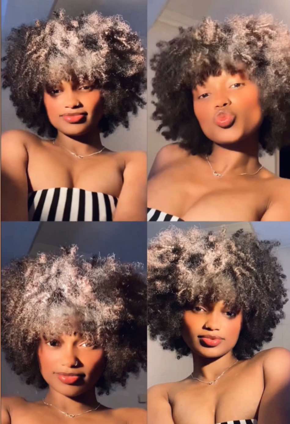 @ELEHONOR✨