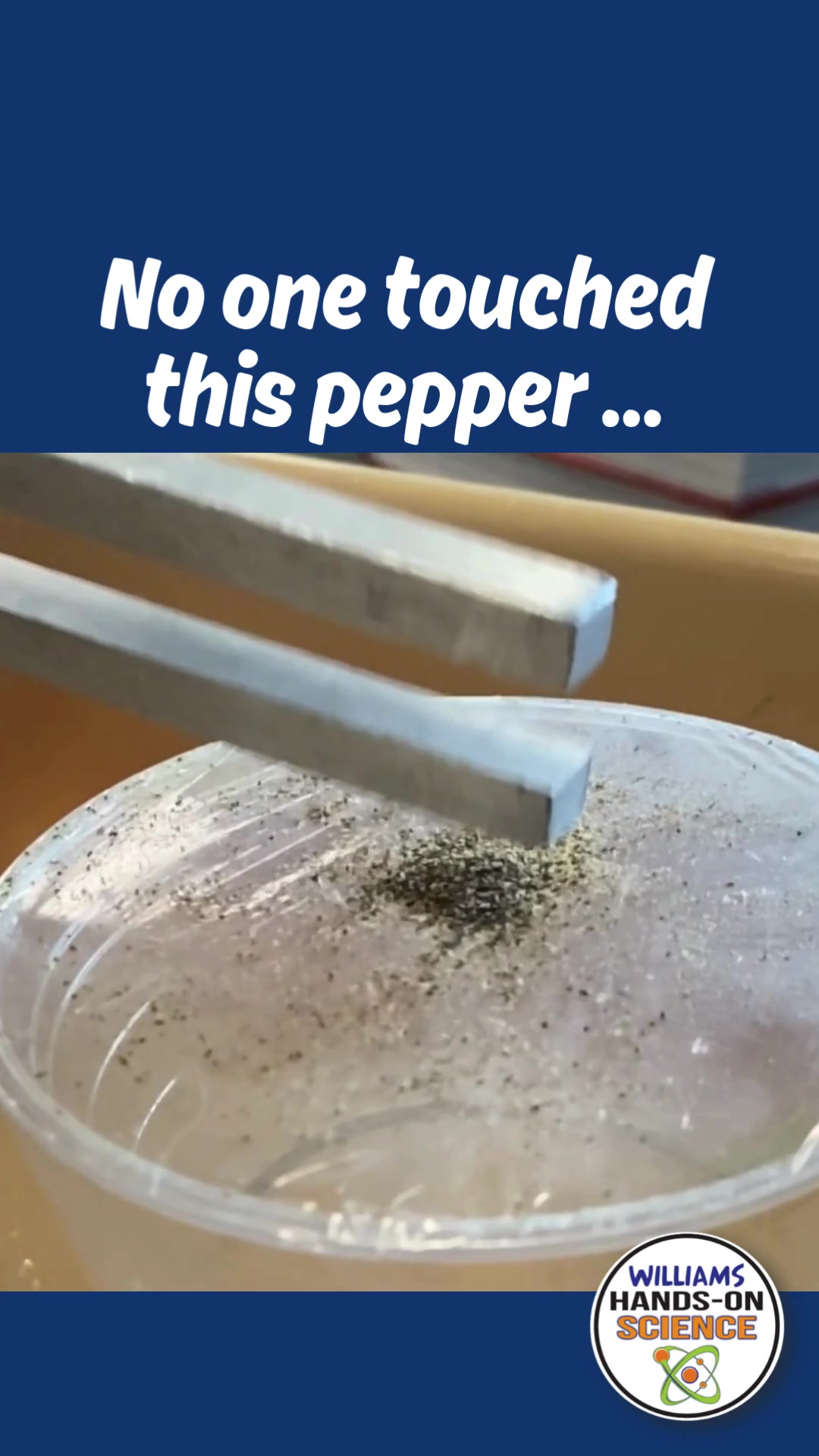 @NGSS STEM Lessons & Activities