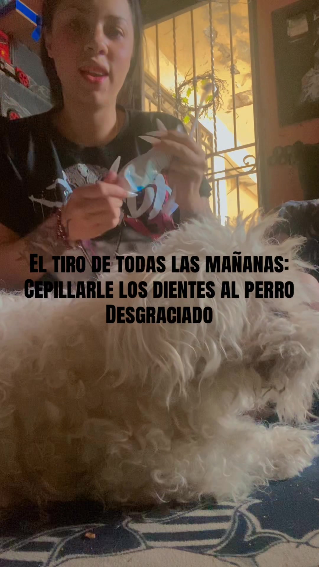 @mariasrifan
