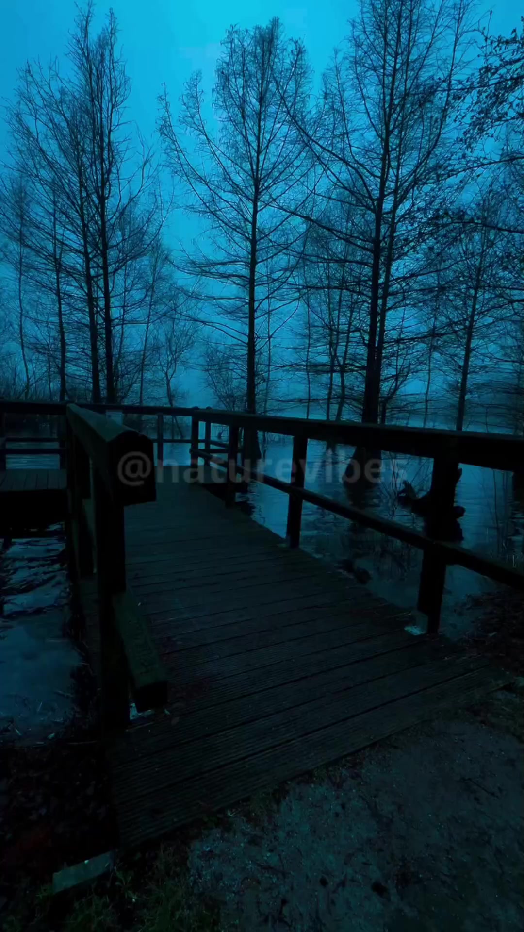 @Nature Vibes