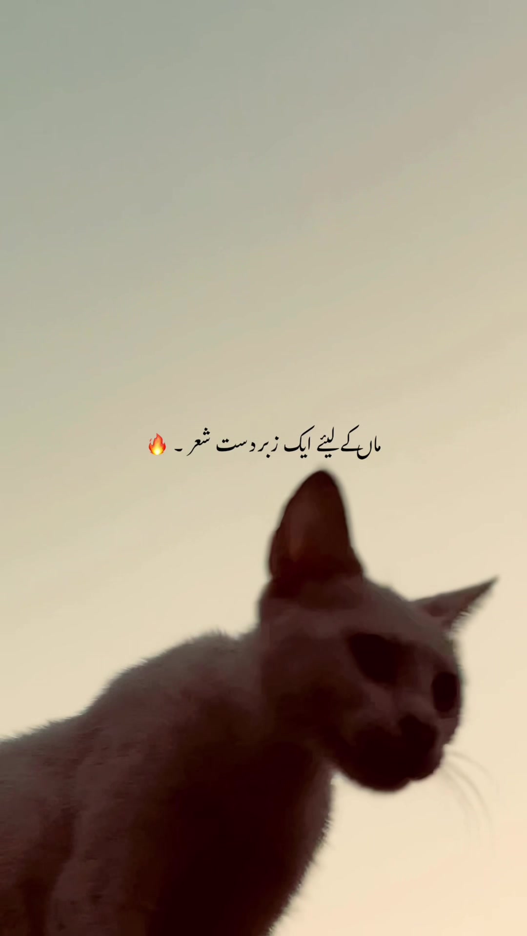 @🎭。