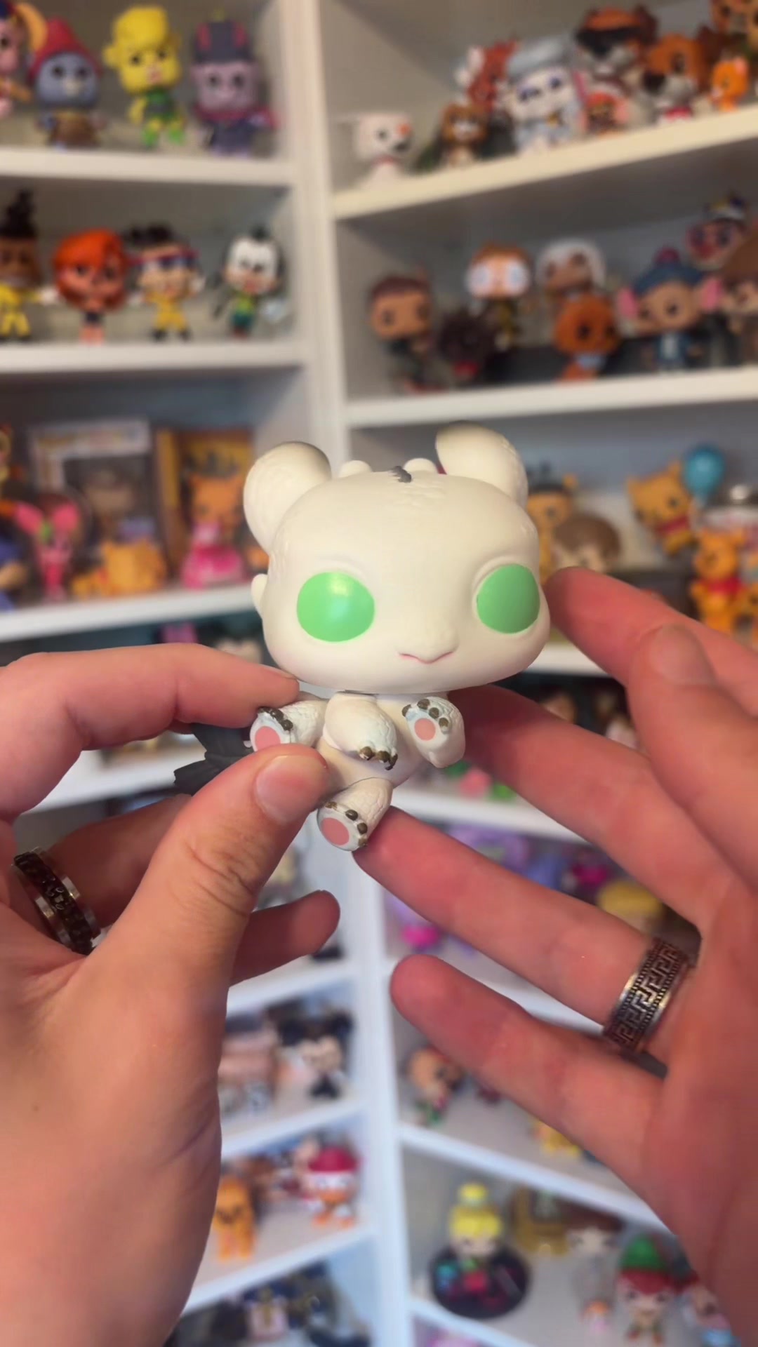 @The Magical Collector ✨️