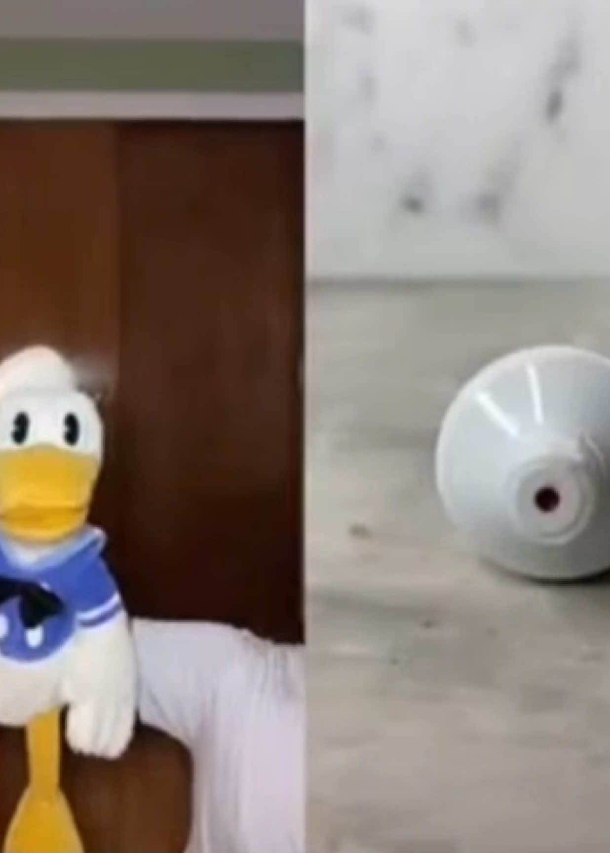 @donaldducc