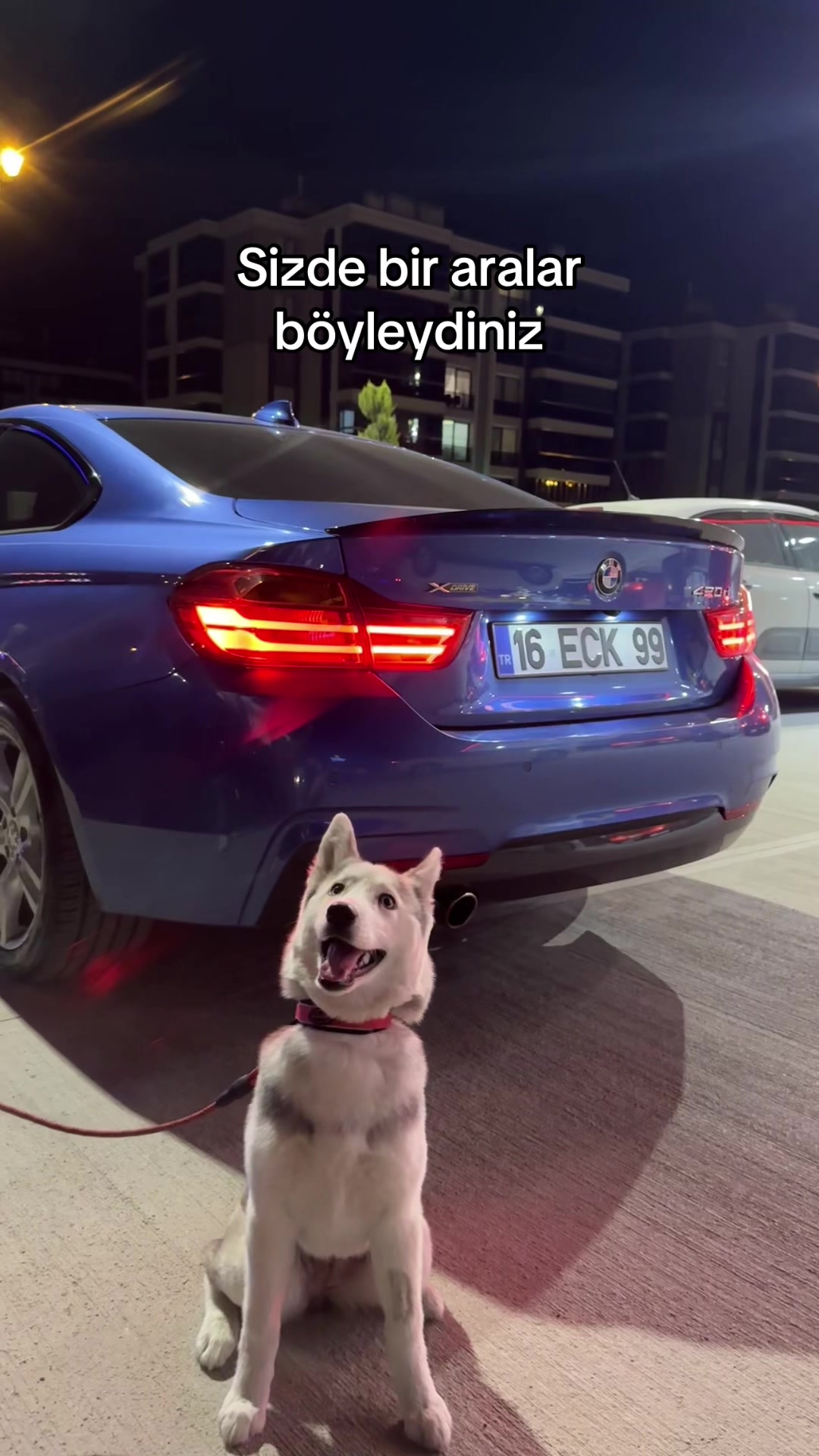 @Erenkosova
