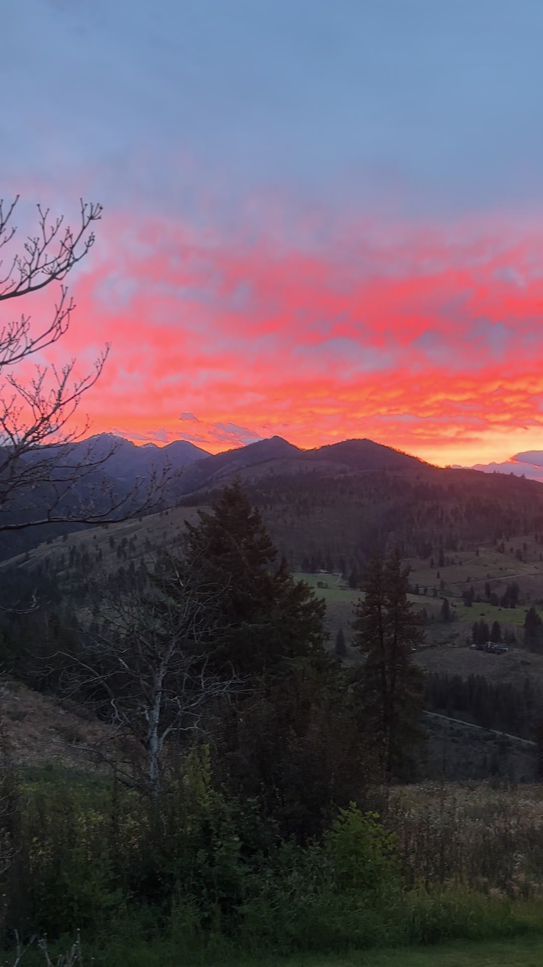 @LifeinthePNW
