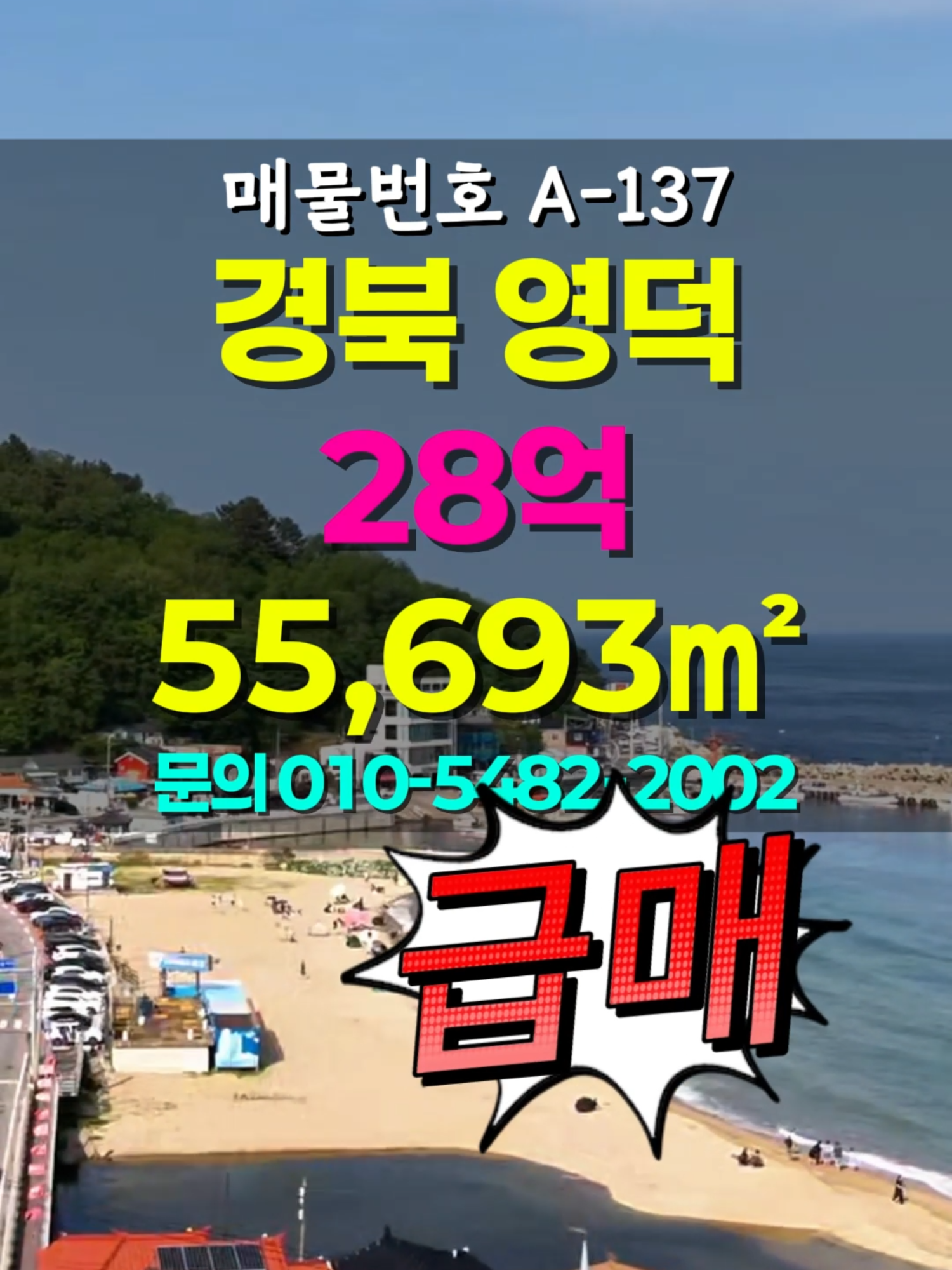 @부동산 전문가 박미란