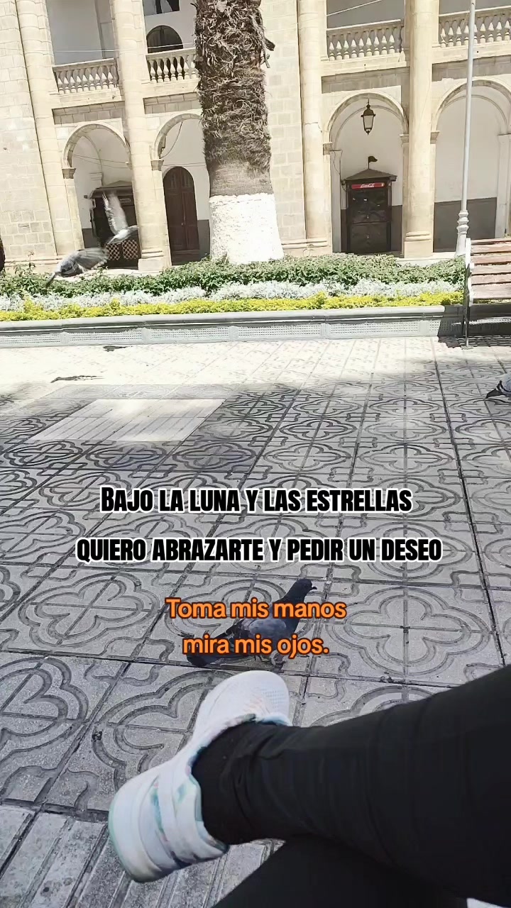 @Tania