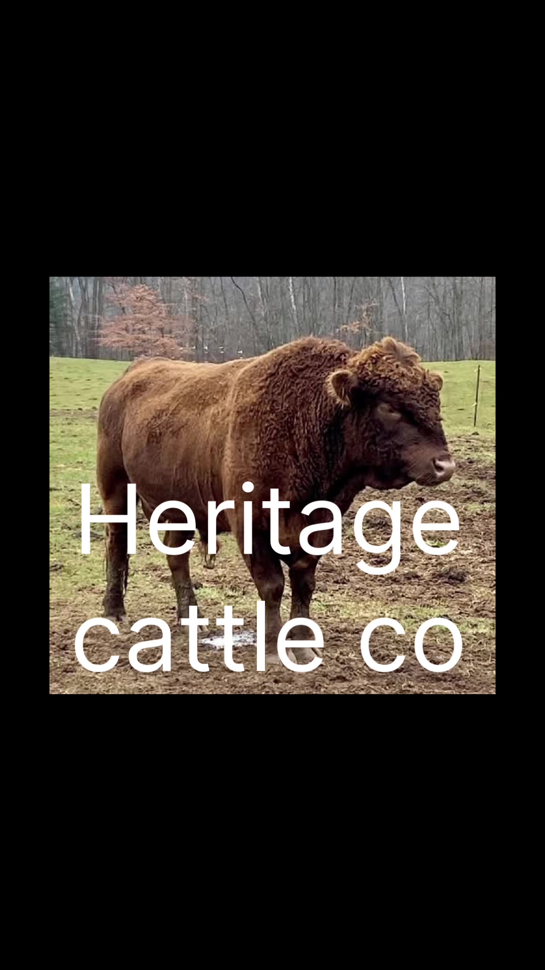 @Heritage Cattle Co