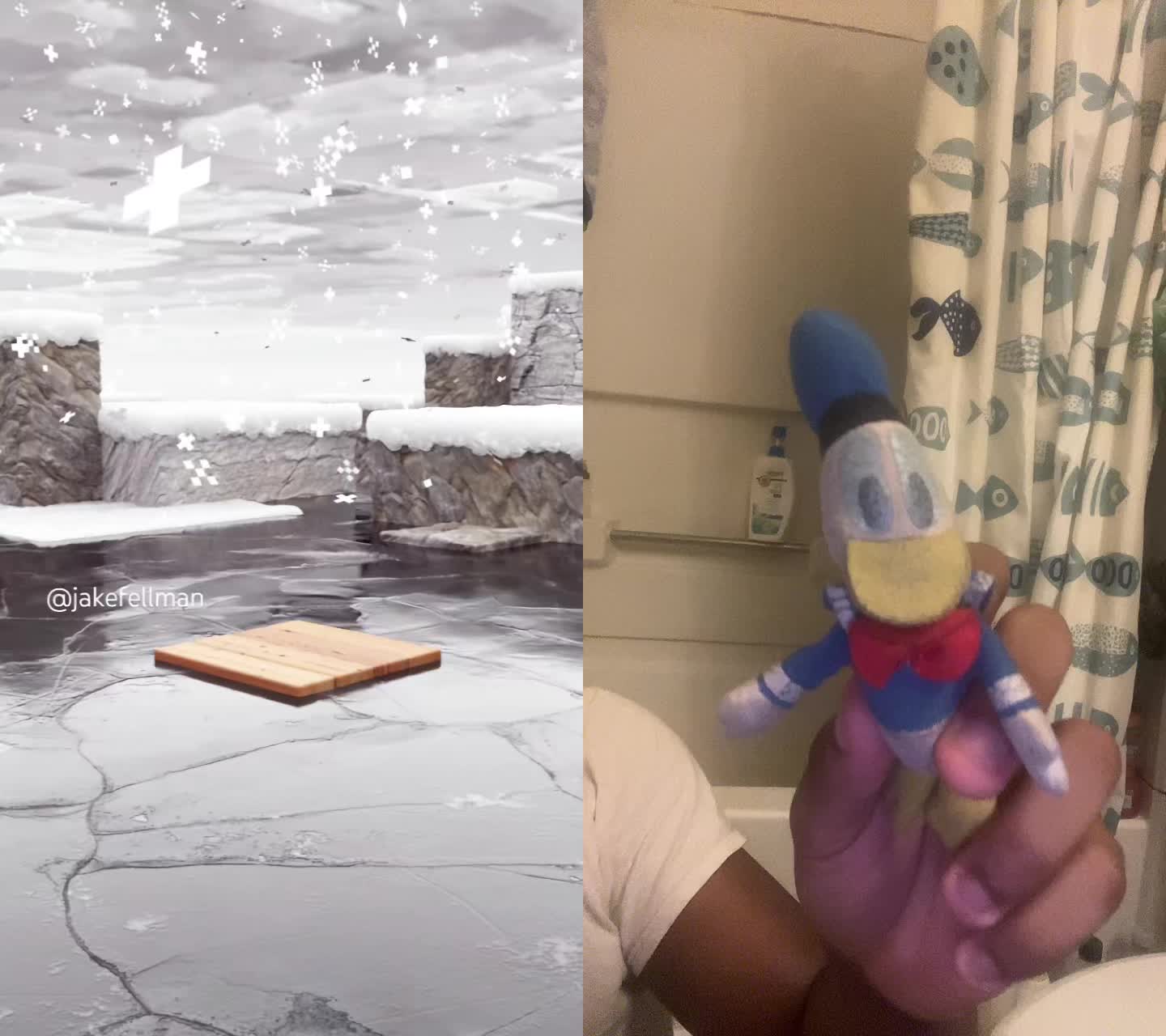 @Donald Duck