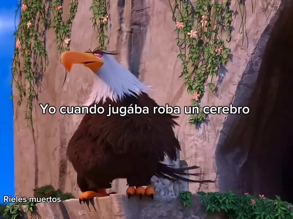 @acompañame nuestras aventuras