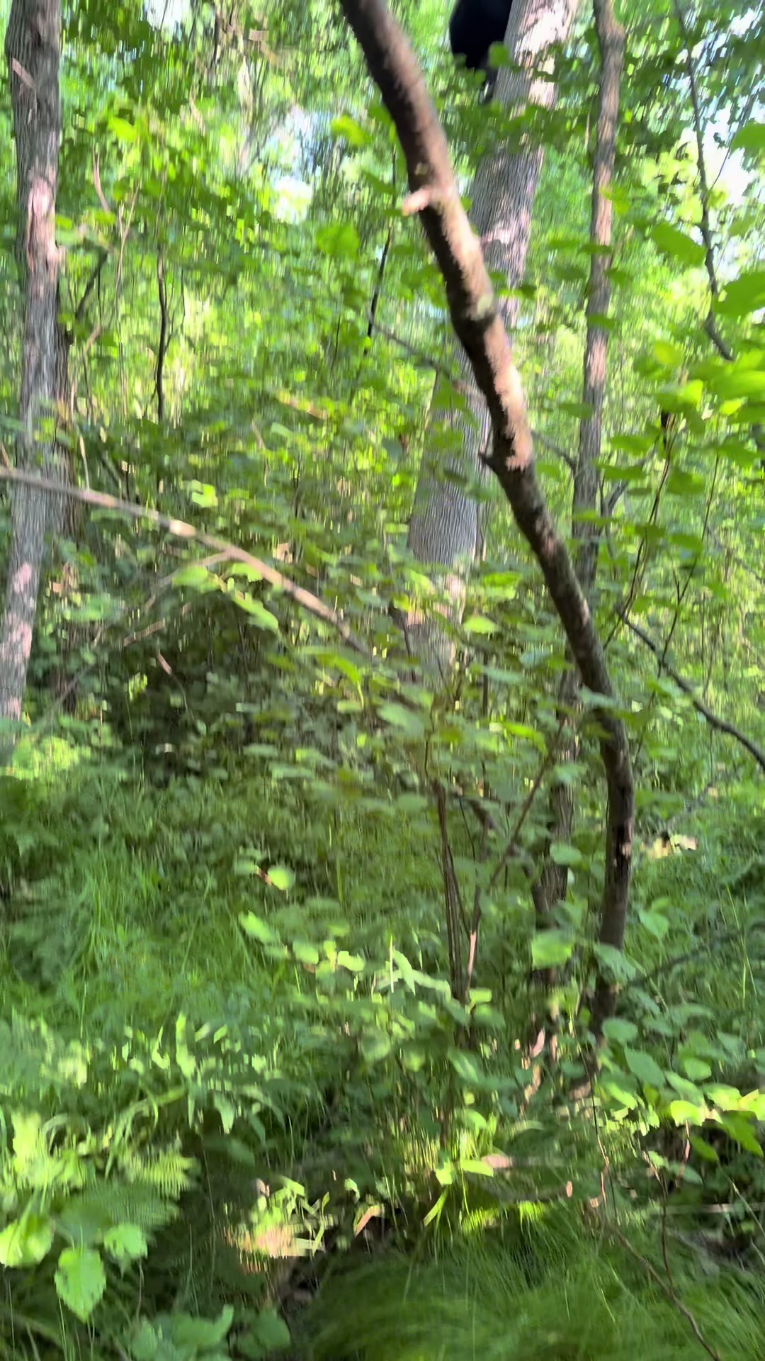 @Tri-County Outdoors