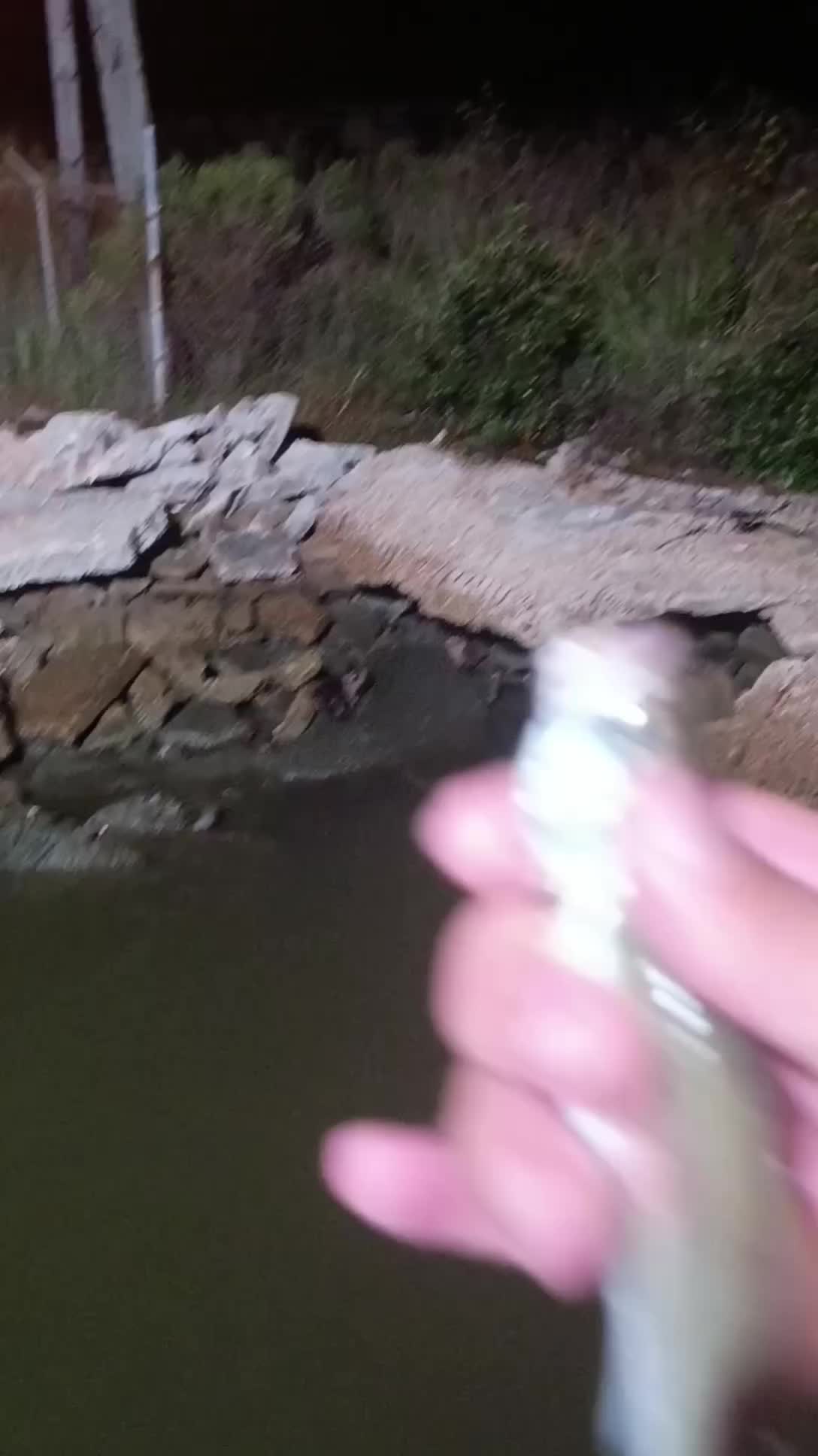 @SALTWATER SAB OUTDOORS