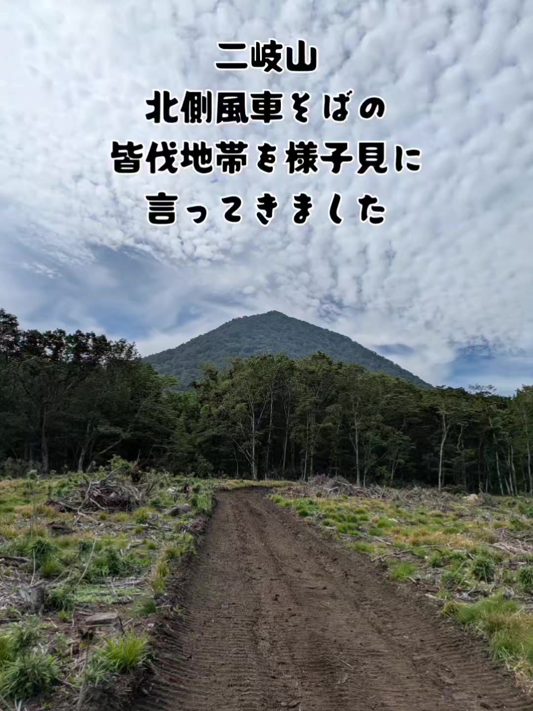 @若旦那