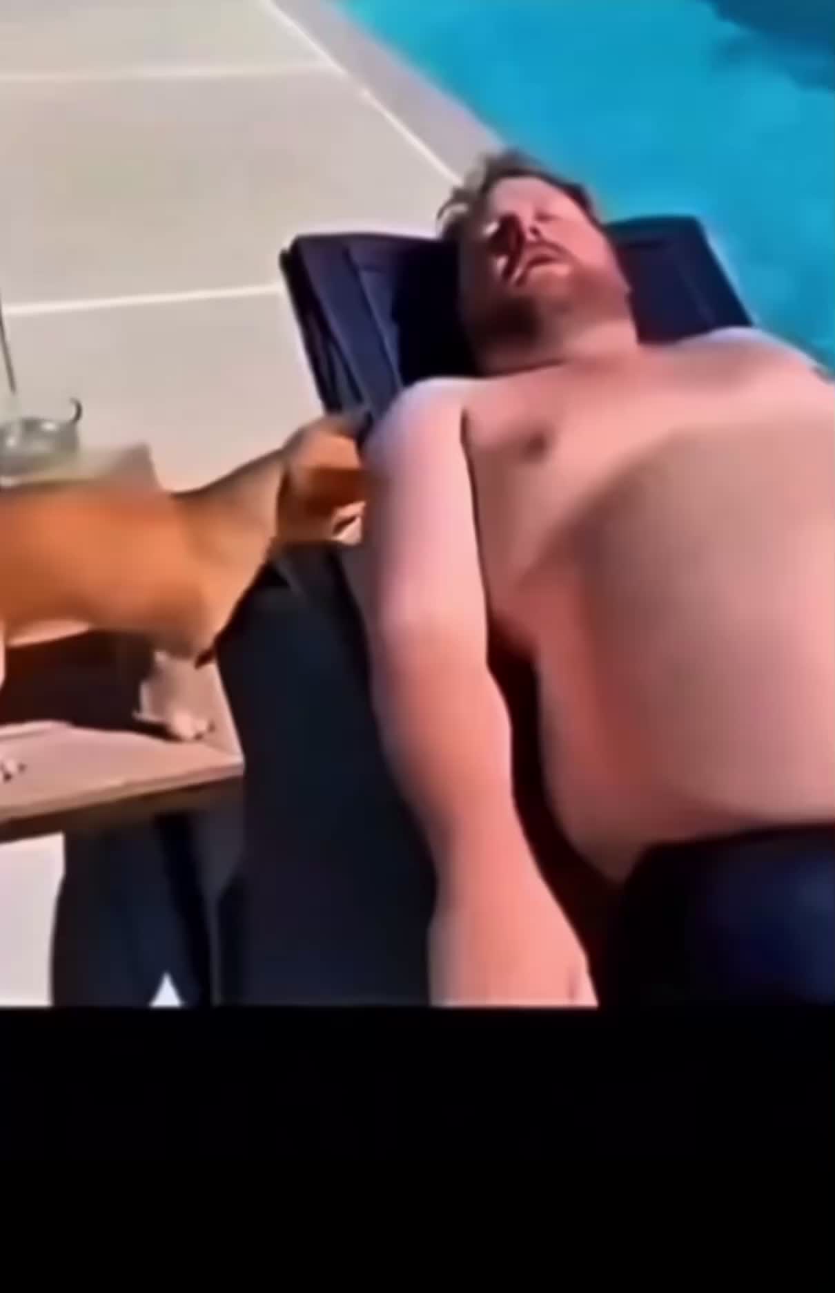 @tellebarajas