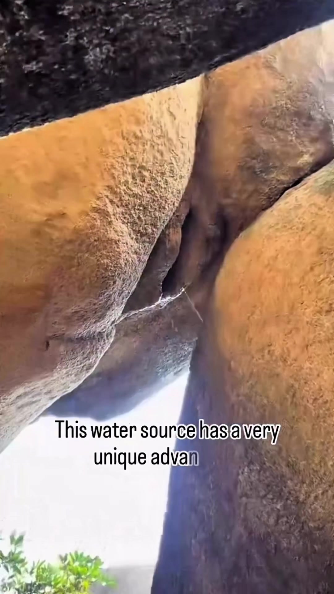 @MikeCakez 🌕