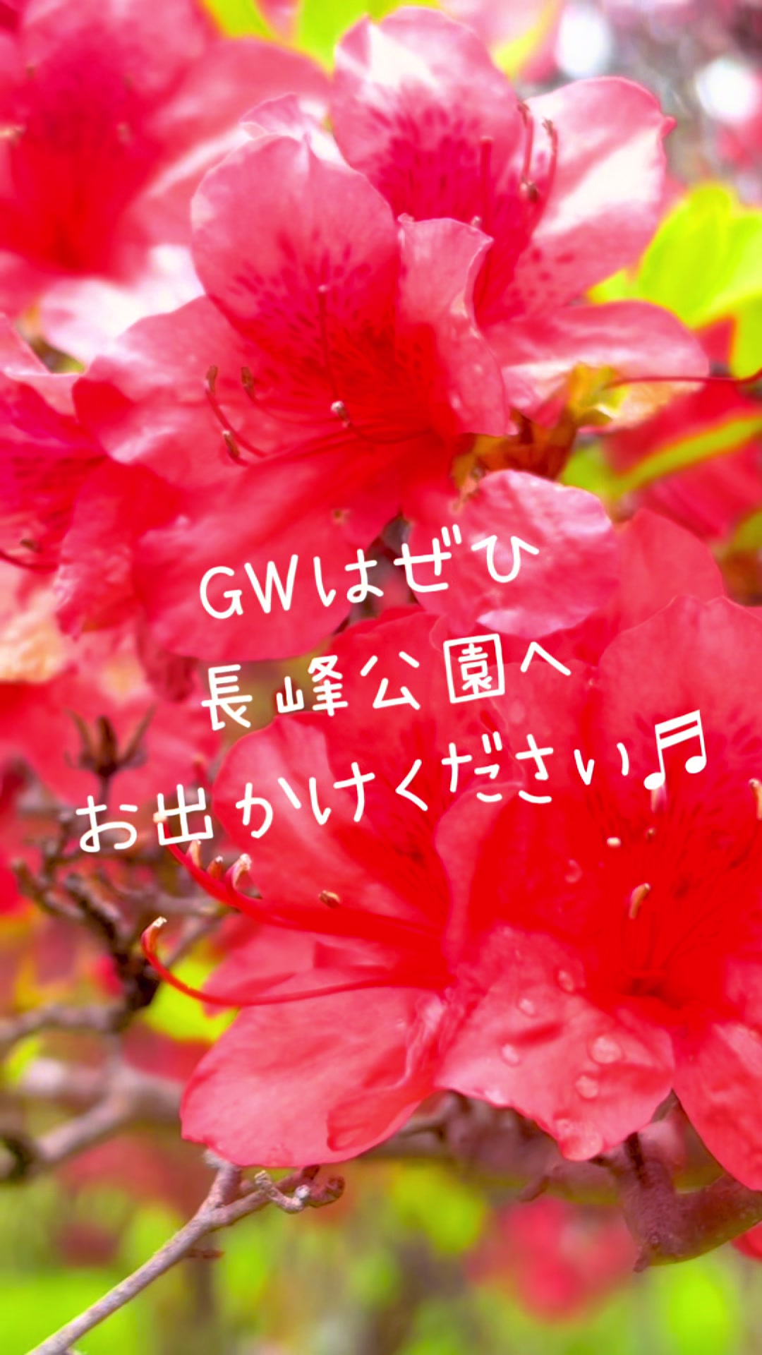 @矢板市