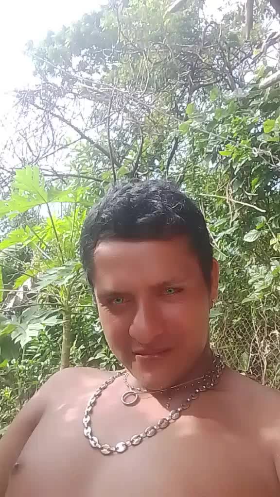 @José David