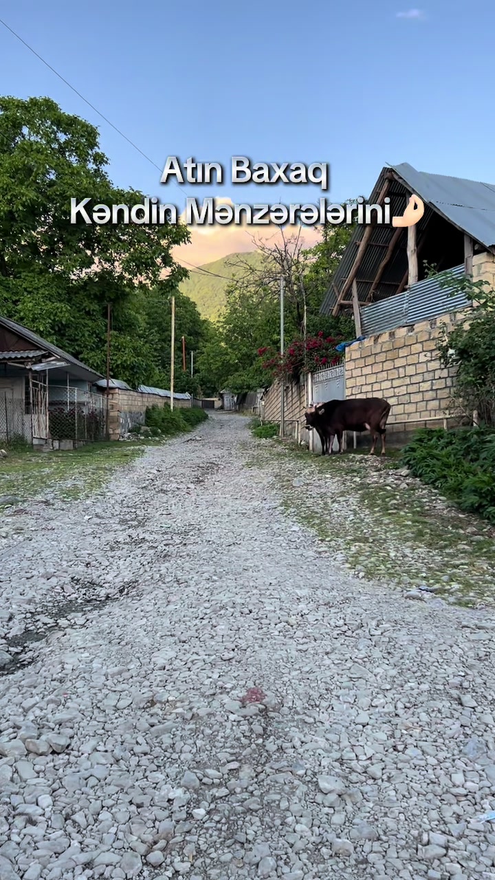 @꧁⭑⭒ БУСАТ ⭑⭒꧂