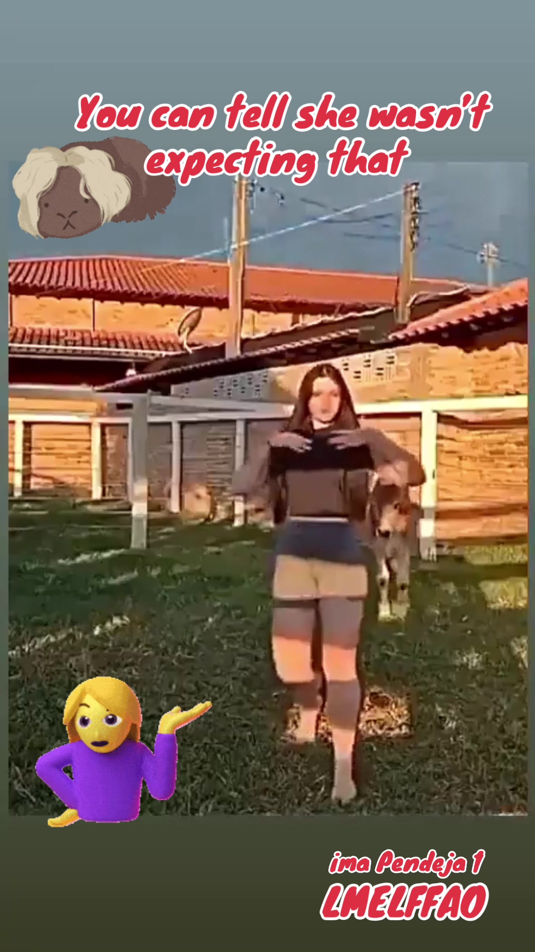 @pendeja 1