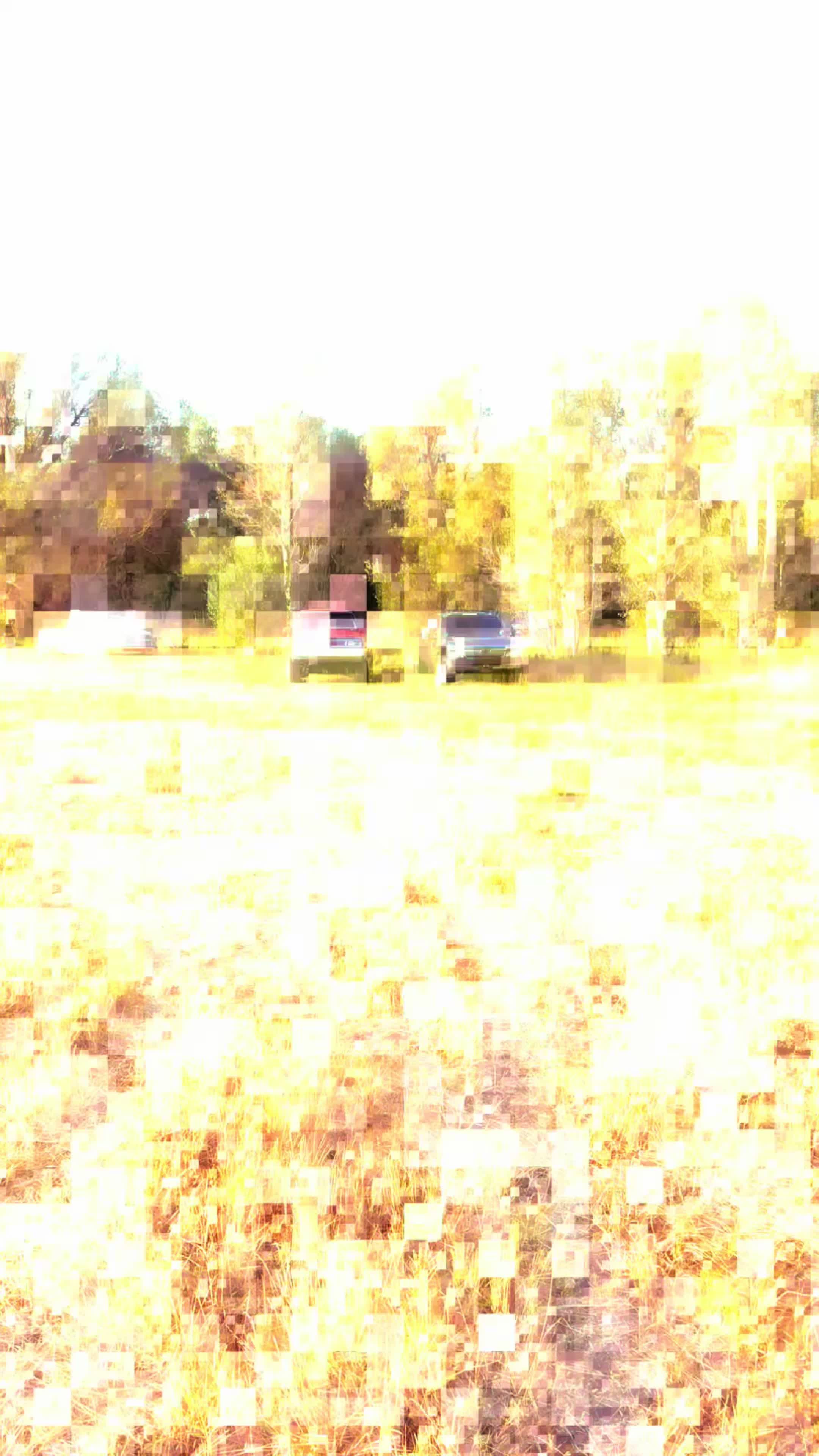 @✠BGmedia_775✠