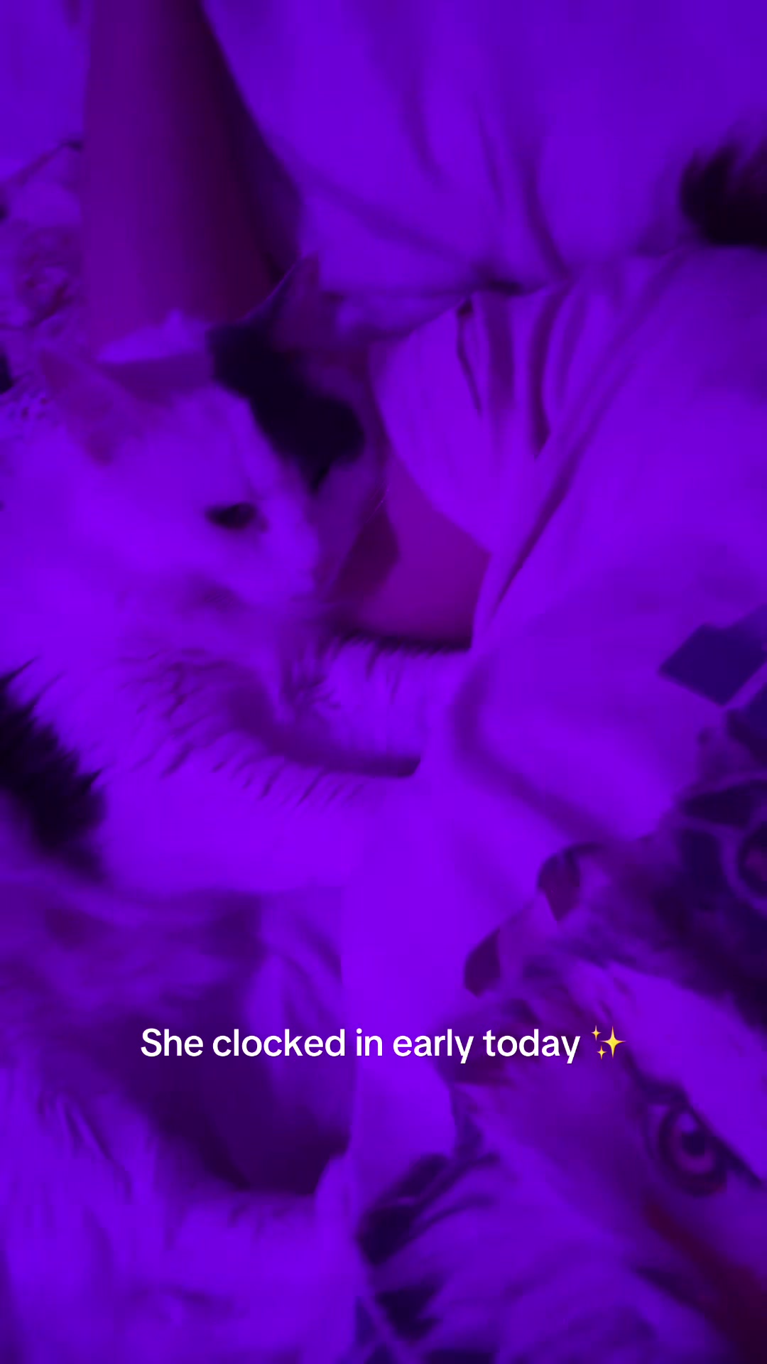 @jjooniebun