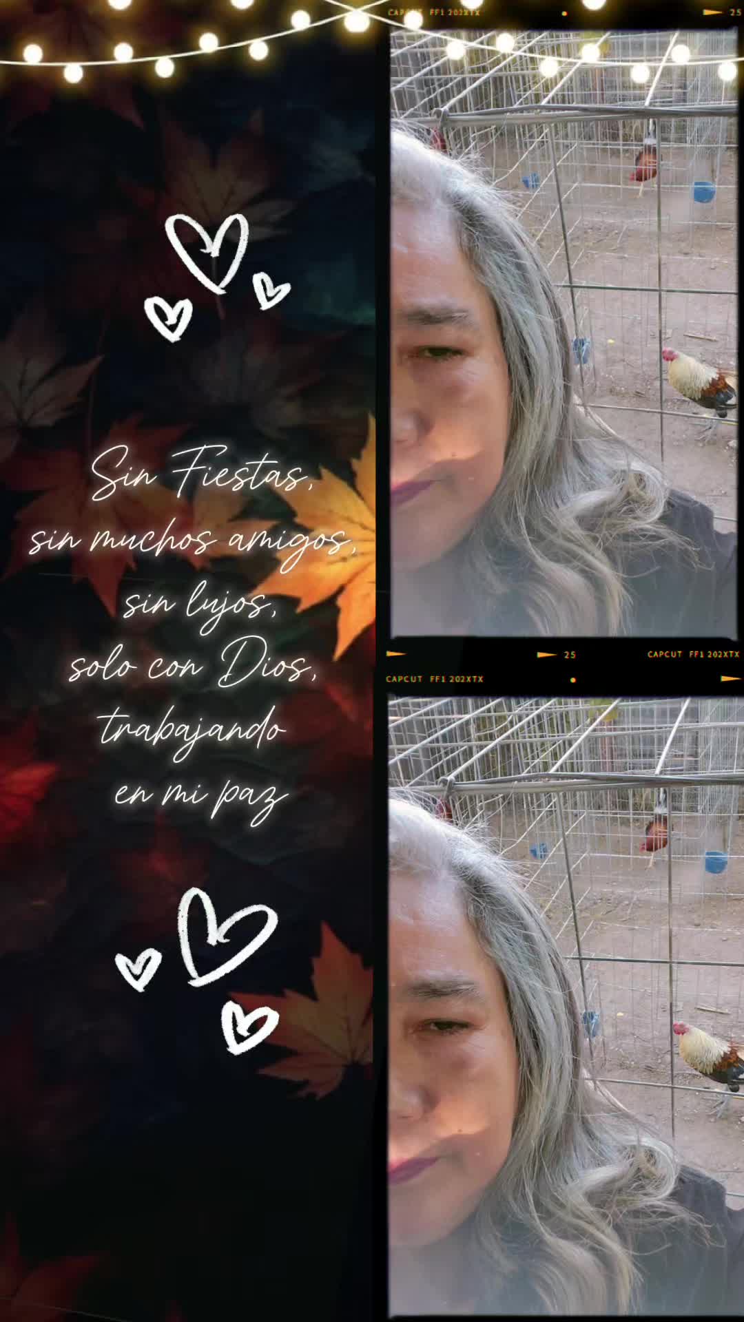 @Josefina Torres