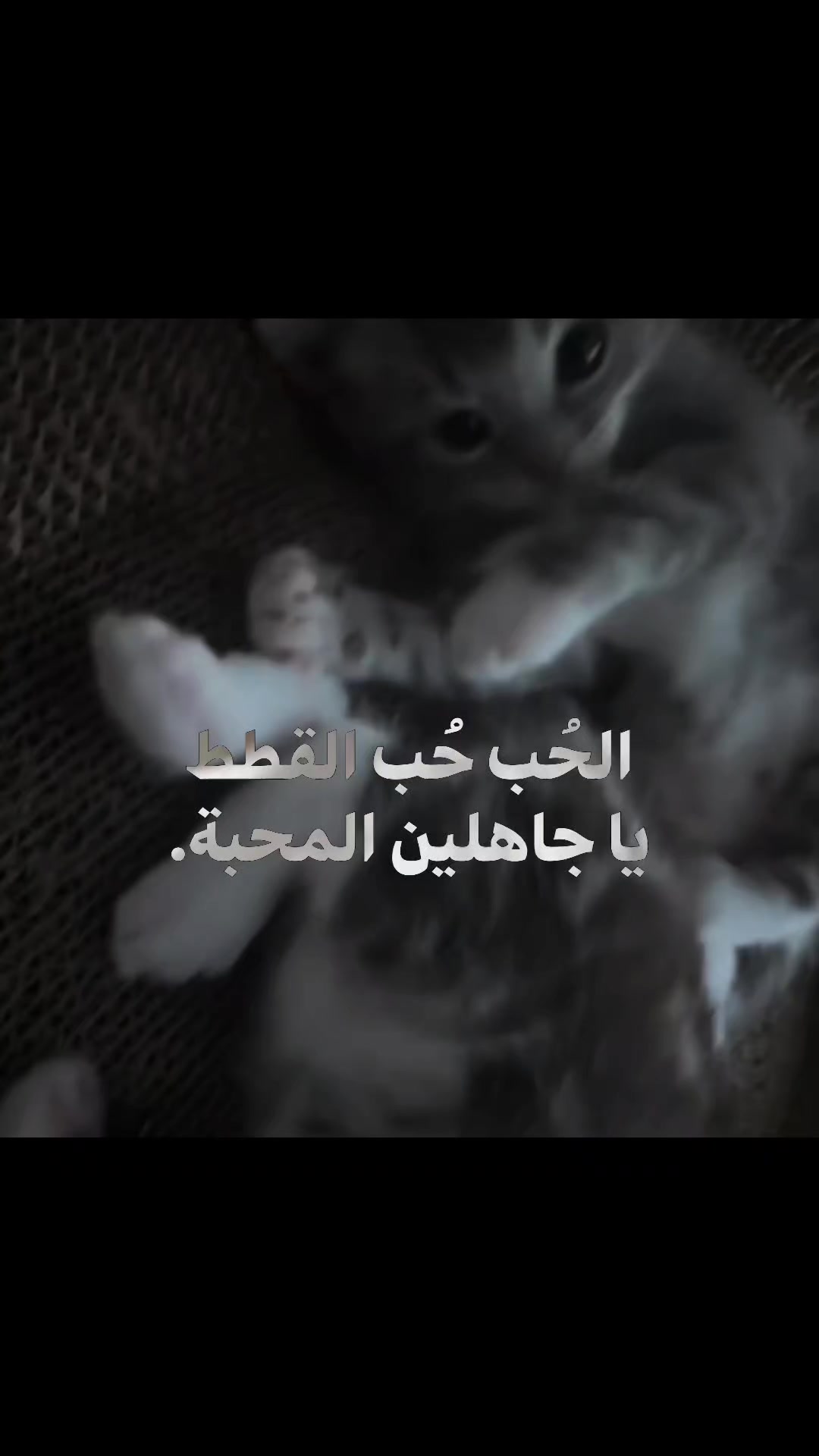 @"غيث" (مواطن شريف جداً)