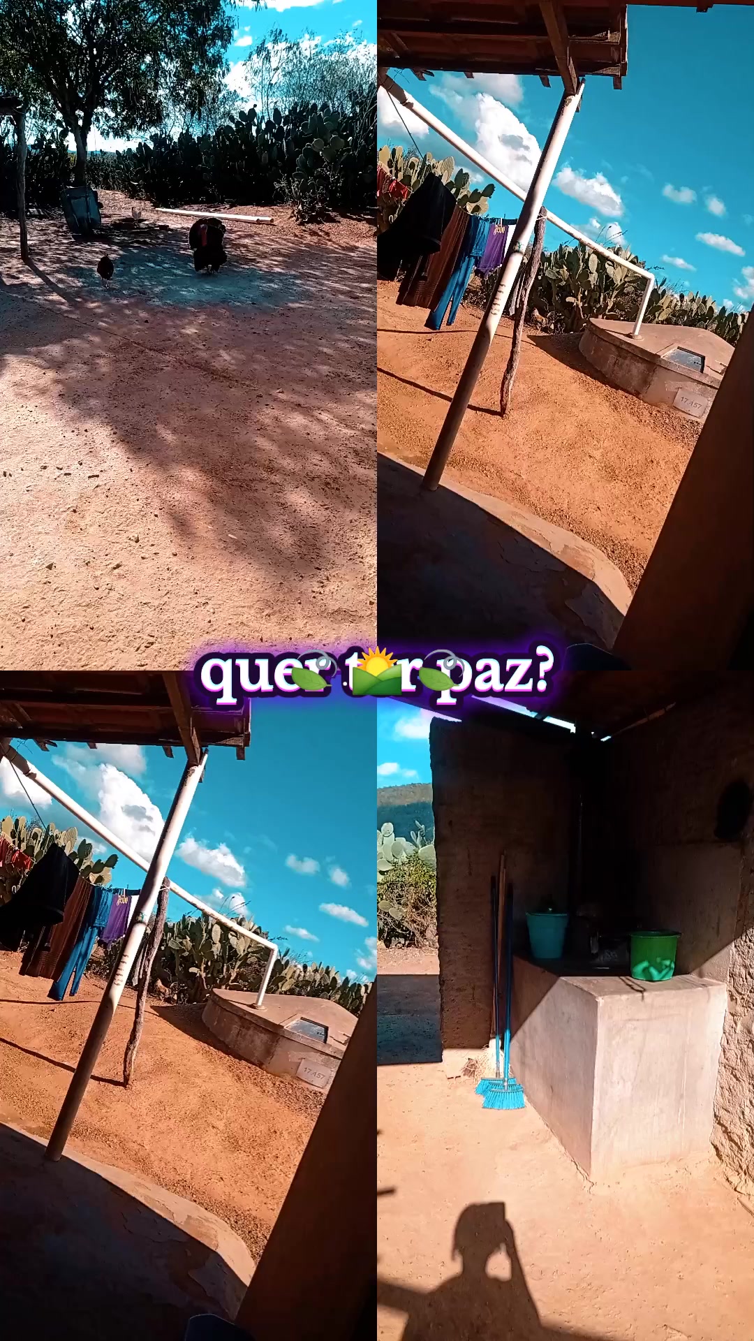 @japa🧩🧩