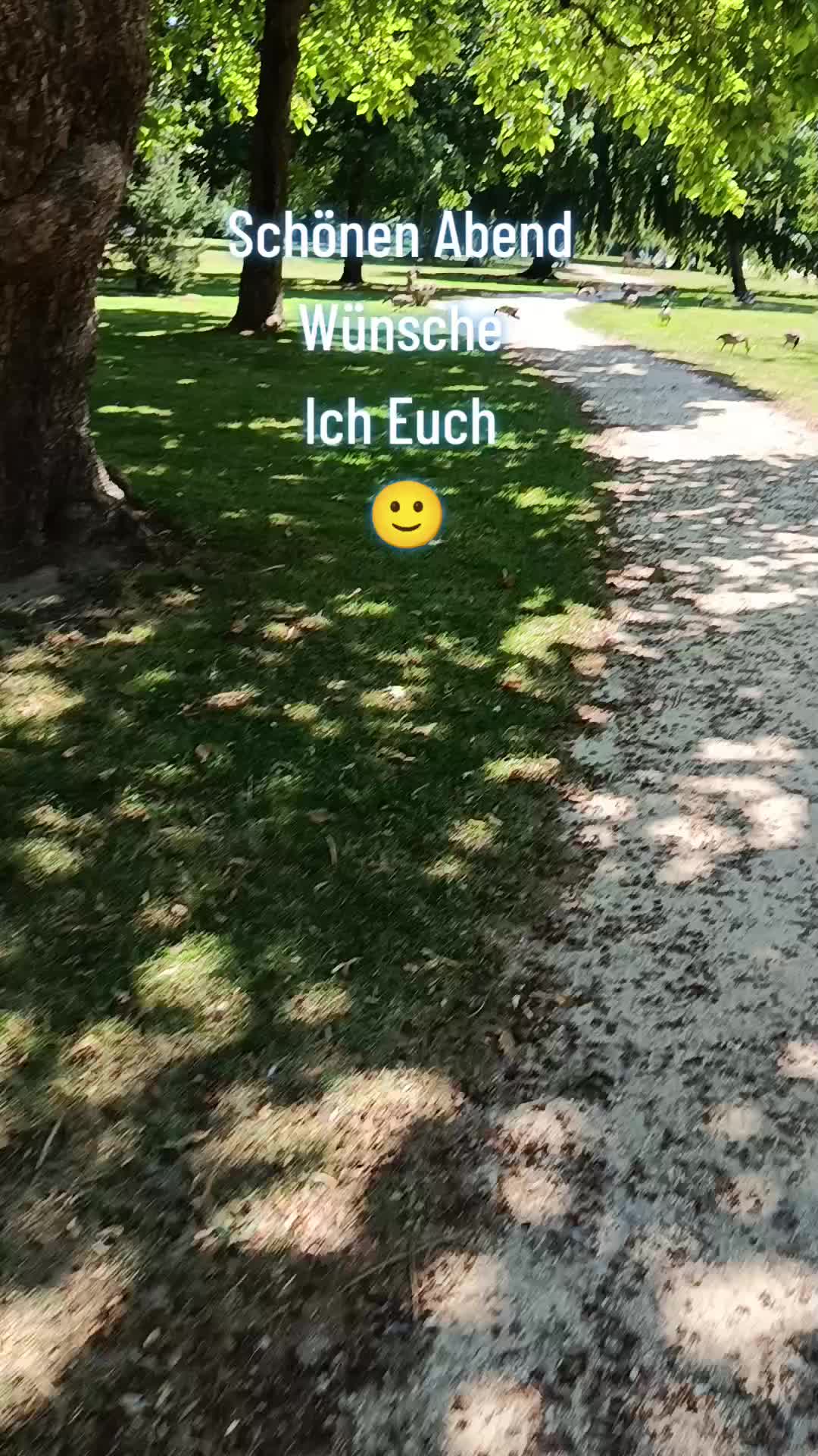 @44OLA4
