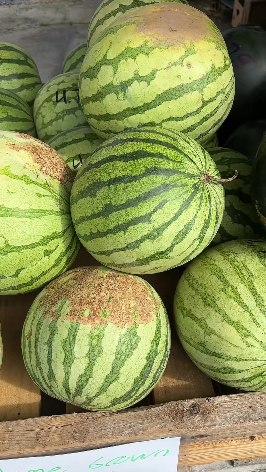@Anderson Farms