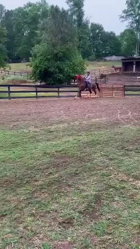 @saddleseat_4life