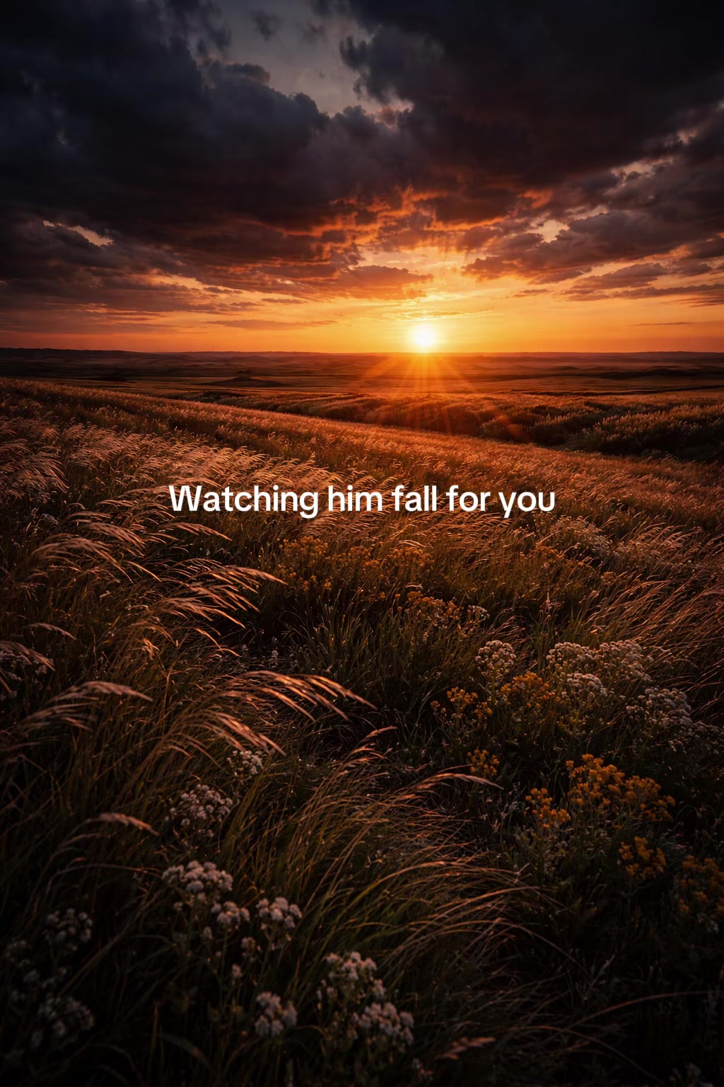@Bird Words