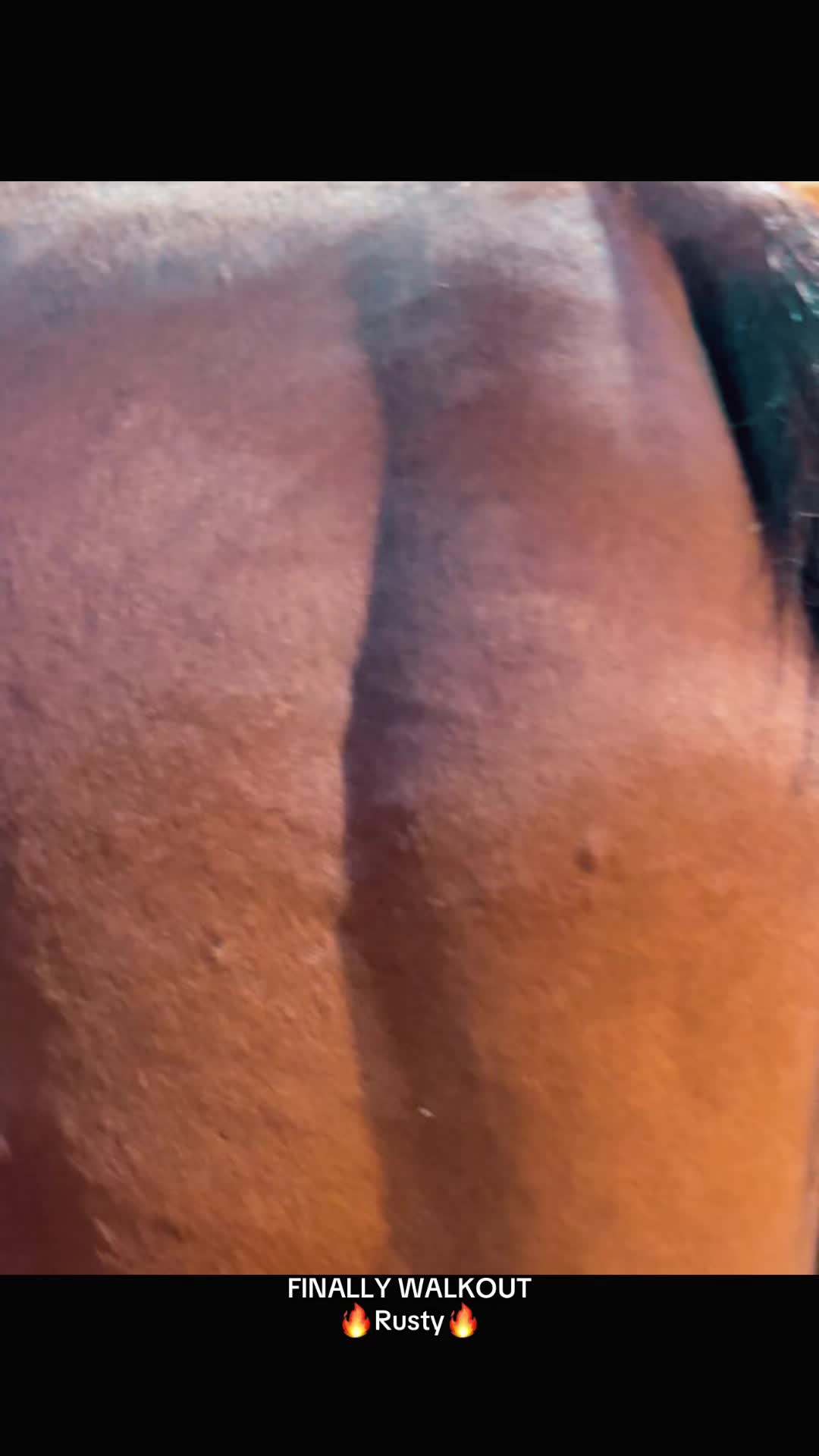 @Danigurl🦮🏇🌅
