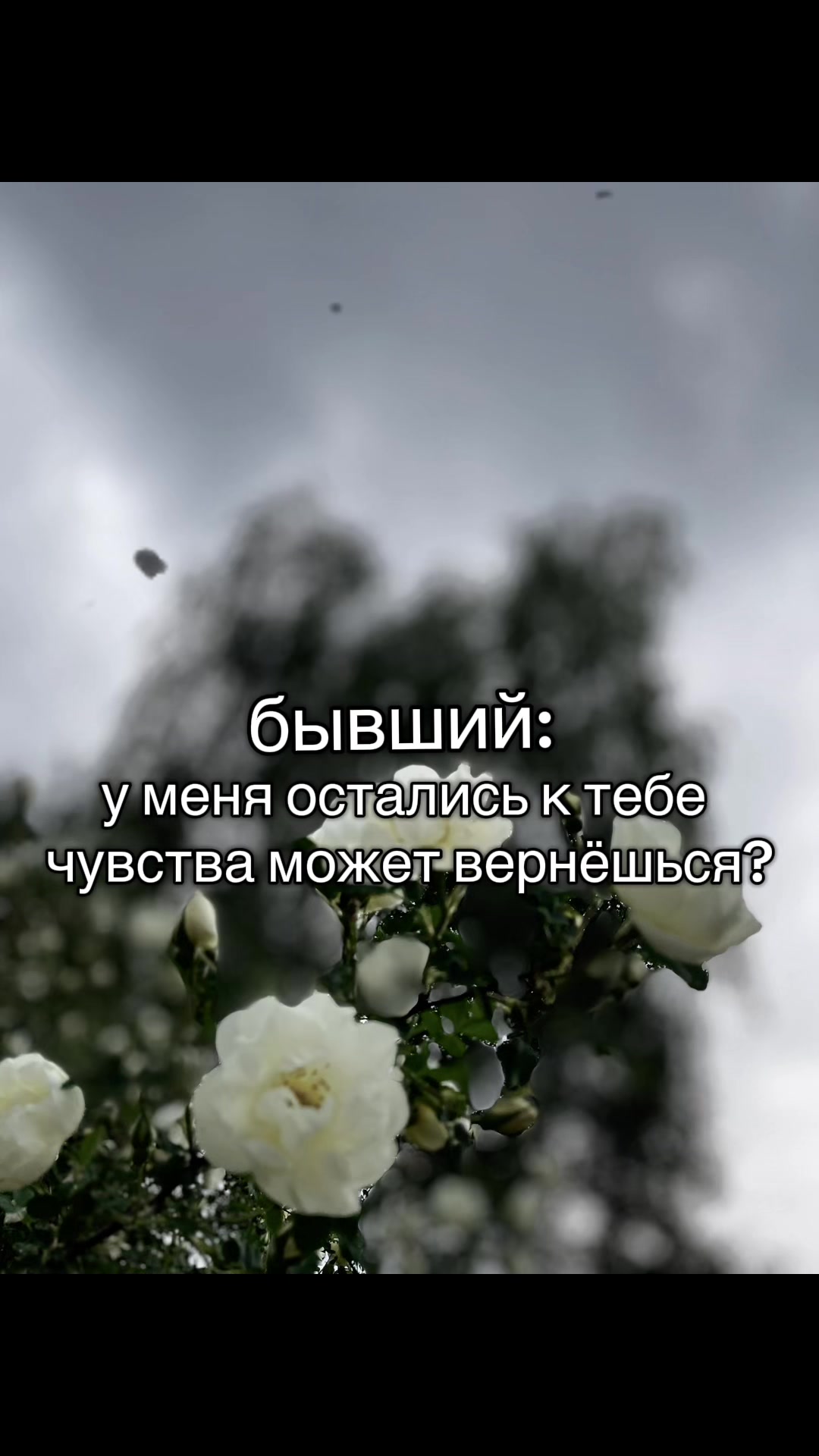 @Юлия...