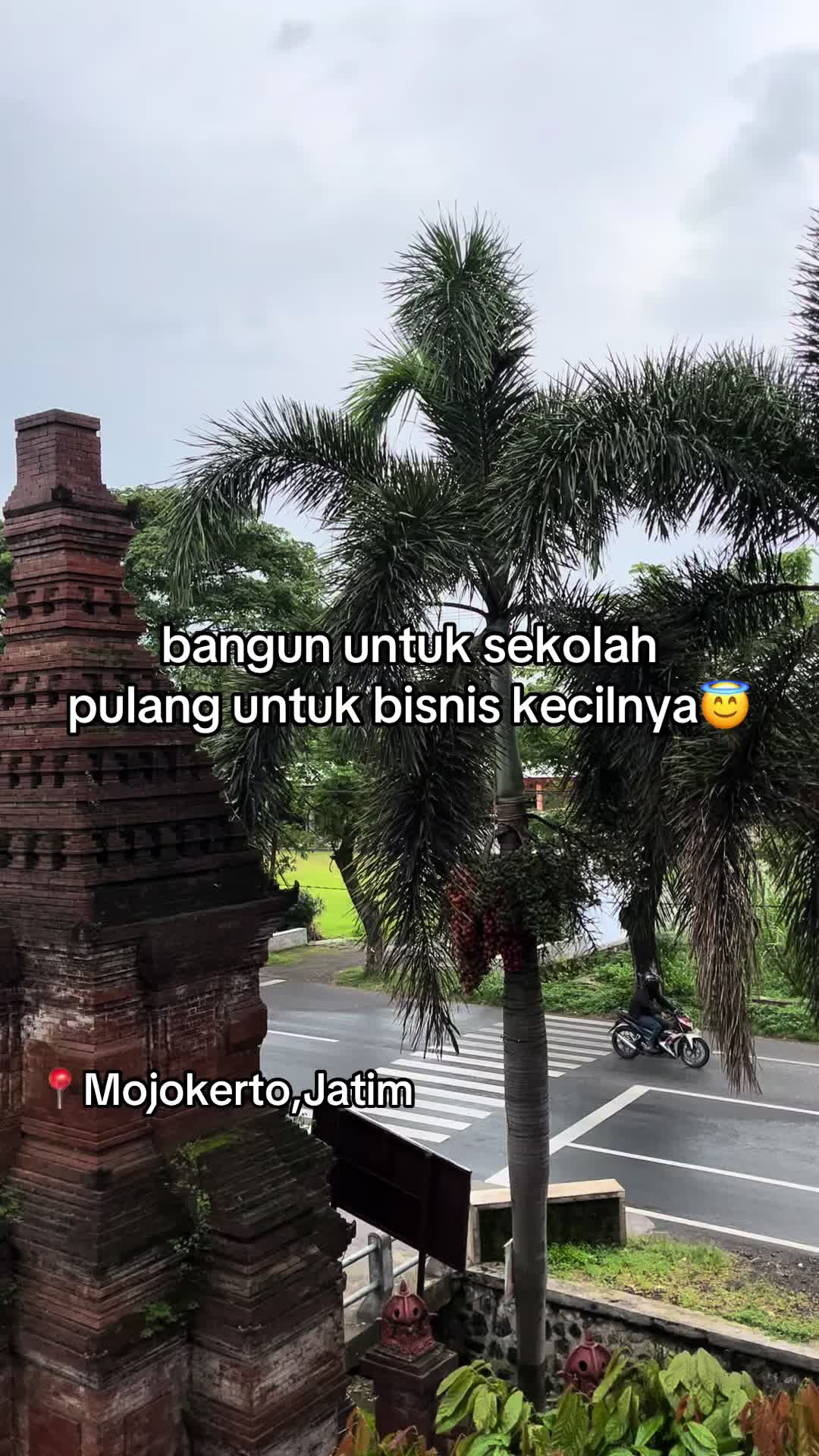 @bosyupienew