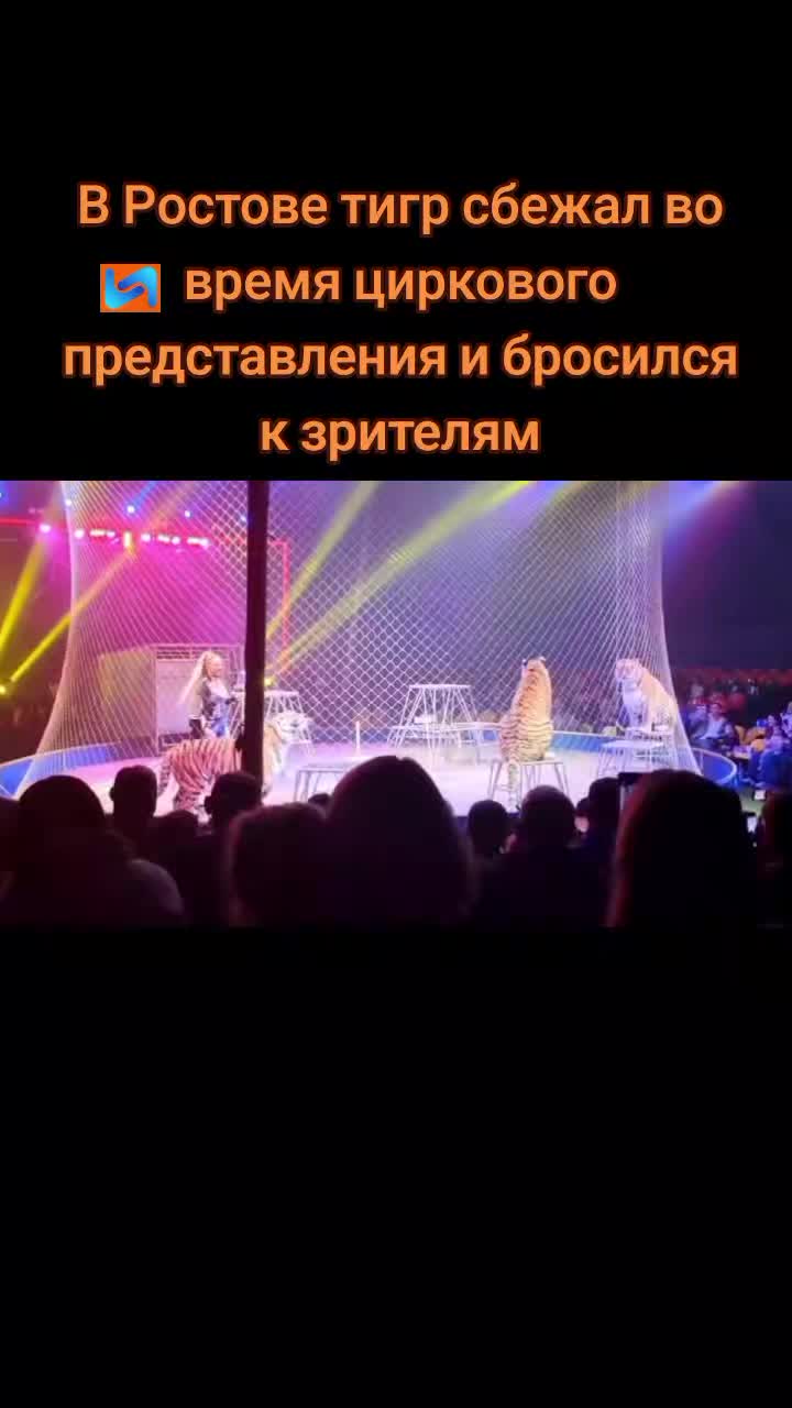 @vn