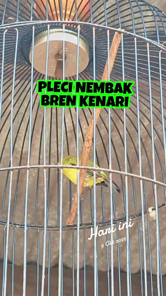 @totalbukpar