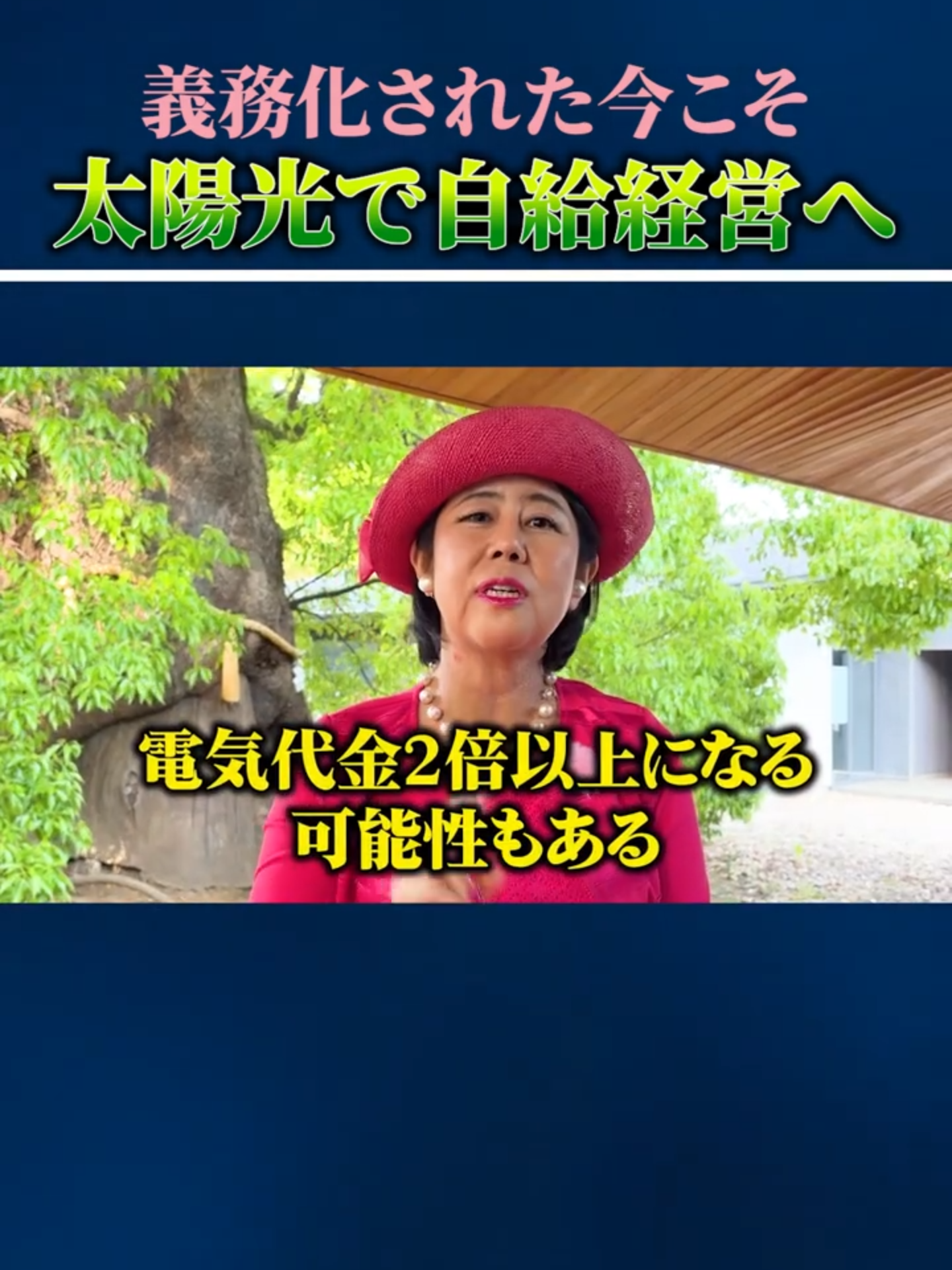 @ピンク社長の太陽光投資が最強